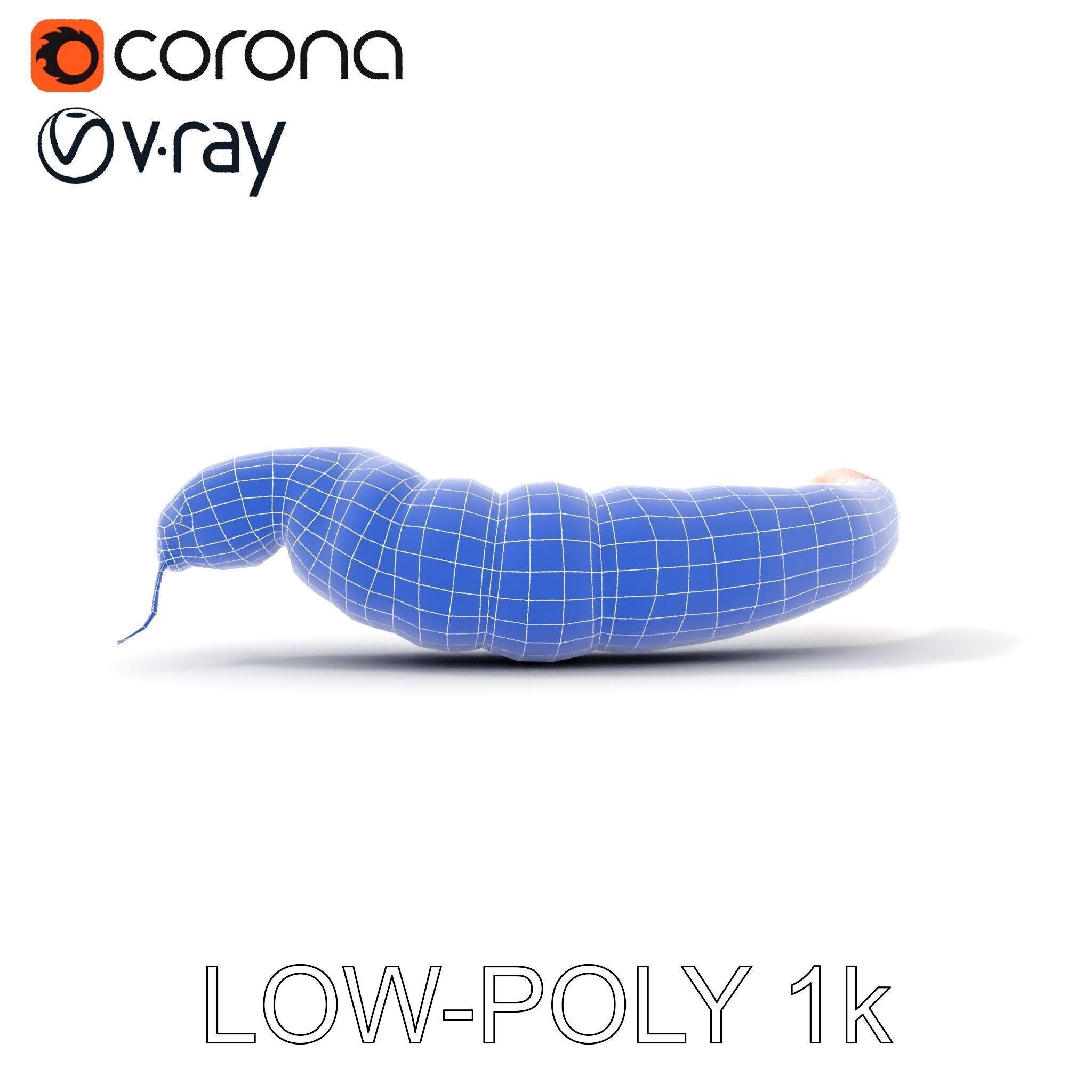 Realistic Caterpillar Model Pack with Detailed Textures Low-poly 3D model_34