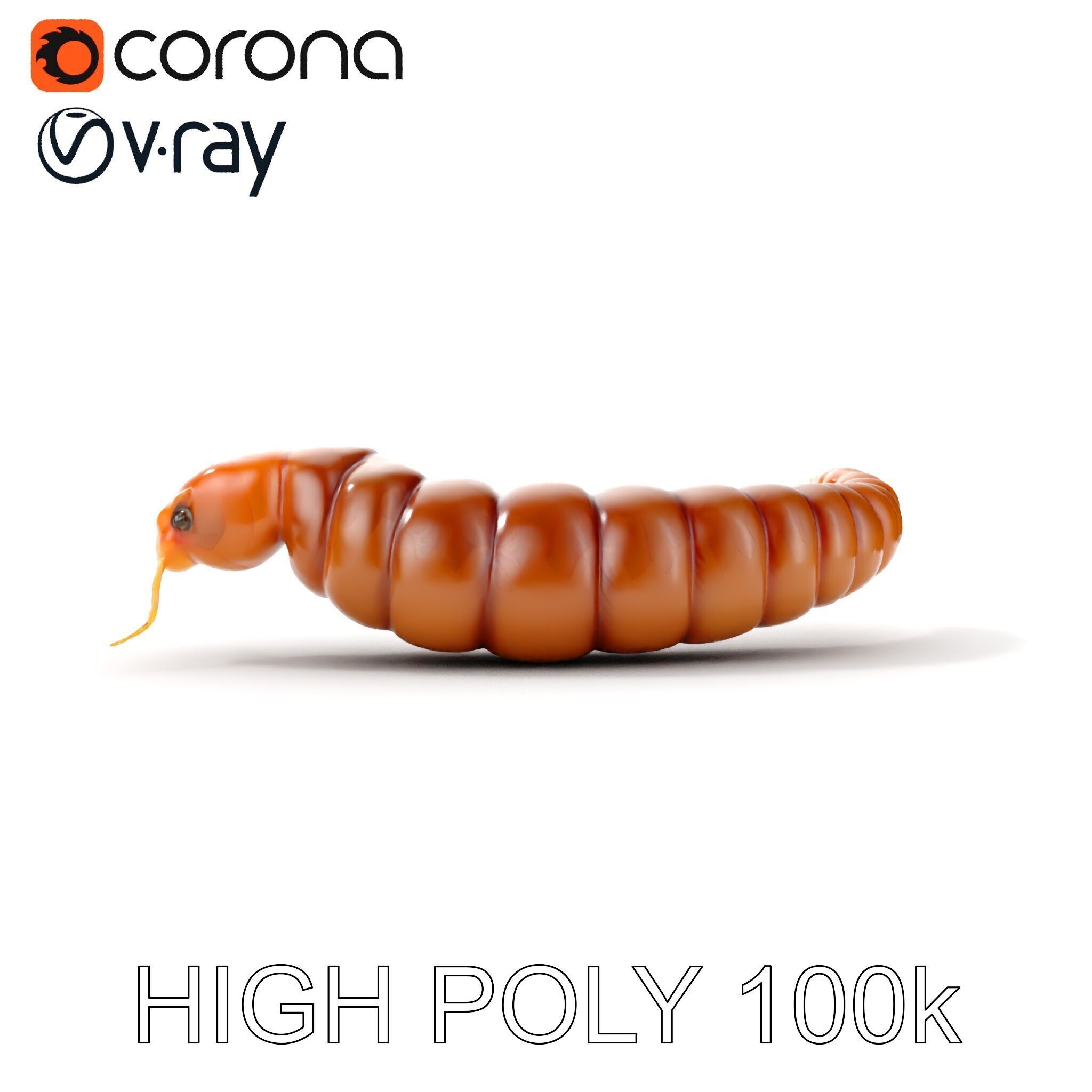 Realistic Caterpillar Model Pack with Detailed Textures Low-poly 3D model_24