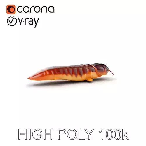 Realistic Centipede D Model Pack