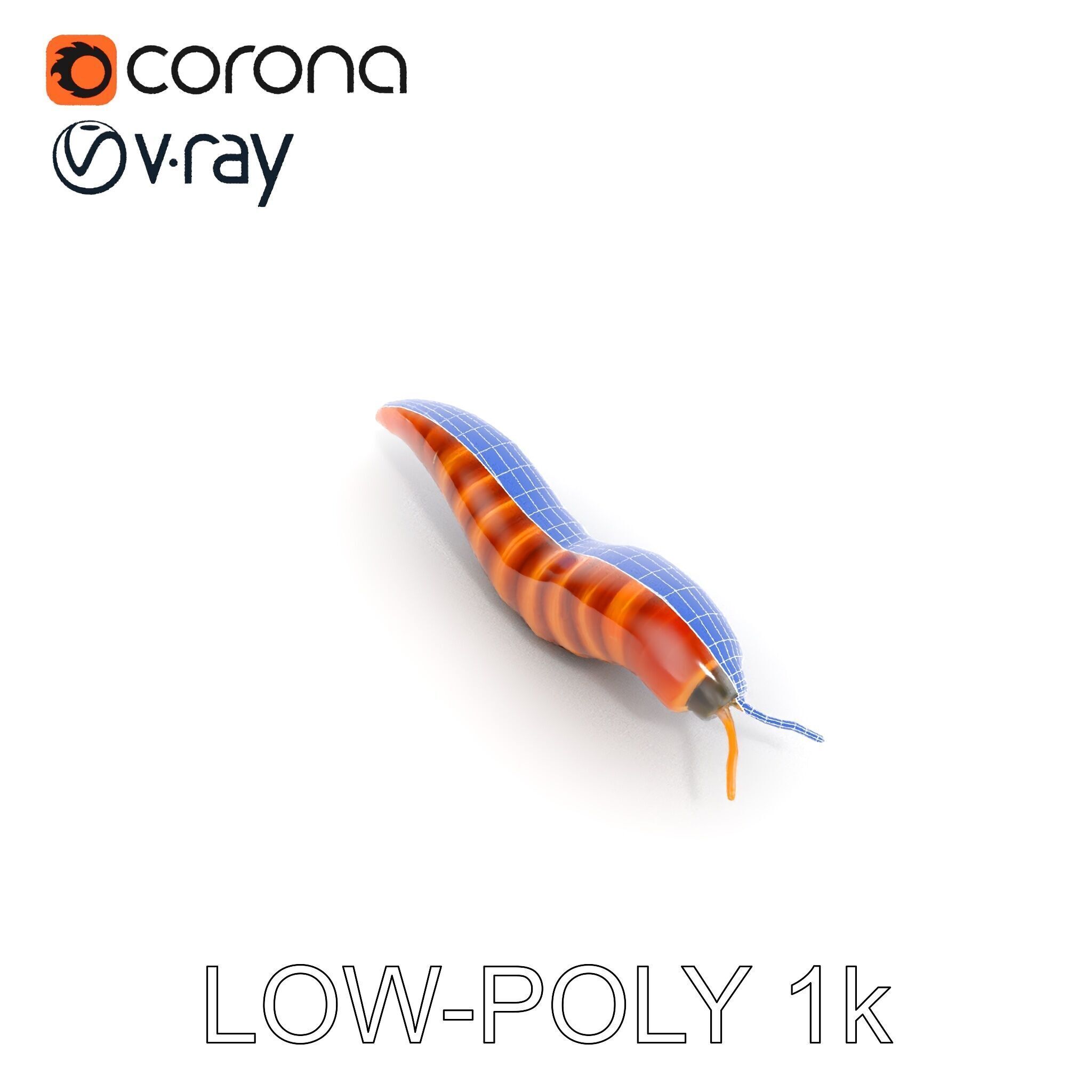 Realistic Worm Model Pack for Animation and Game Design Low-poly 3D model_20