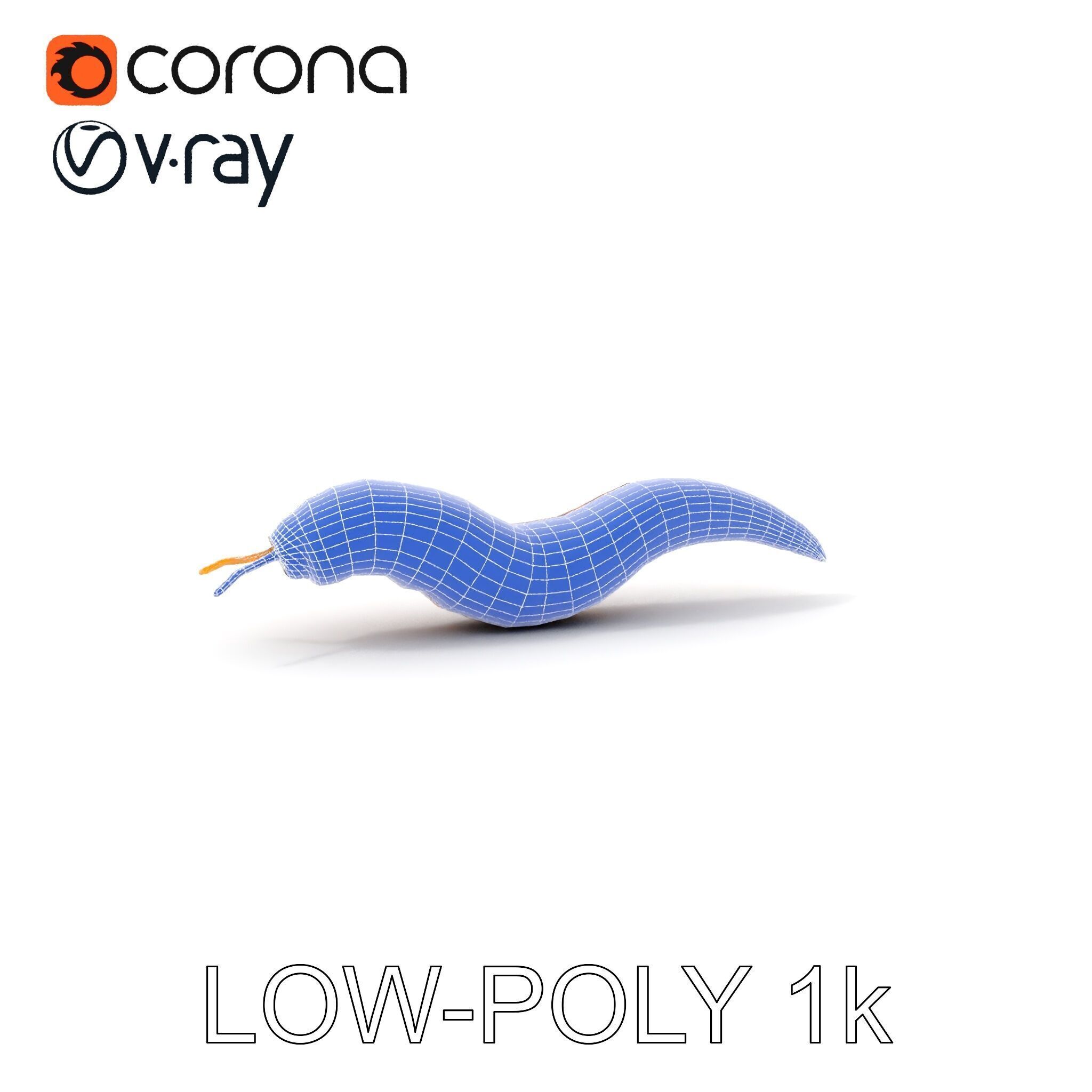 Realistic Worm Model Pack for Animation and Game Design Low-poly 3D model_34