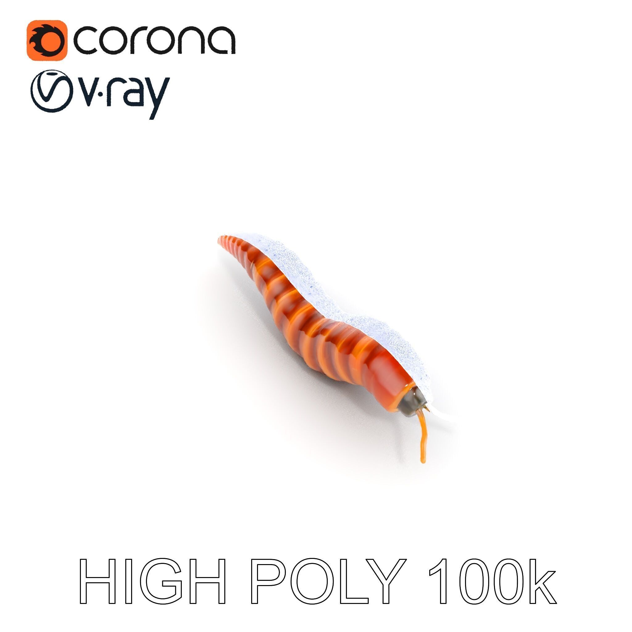 Realistic Worm Model Pack for Animation and Game Design Low-poly 3D model_18