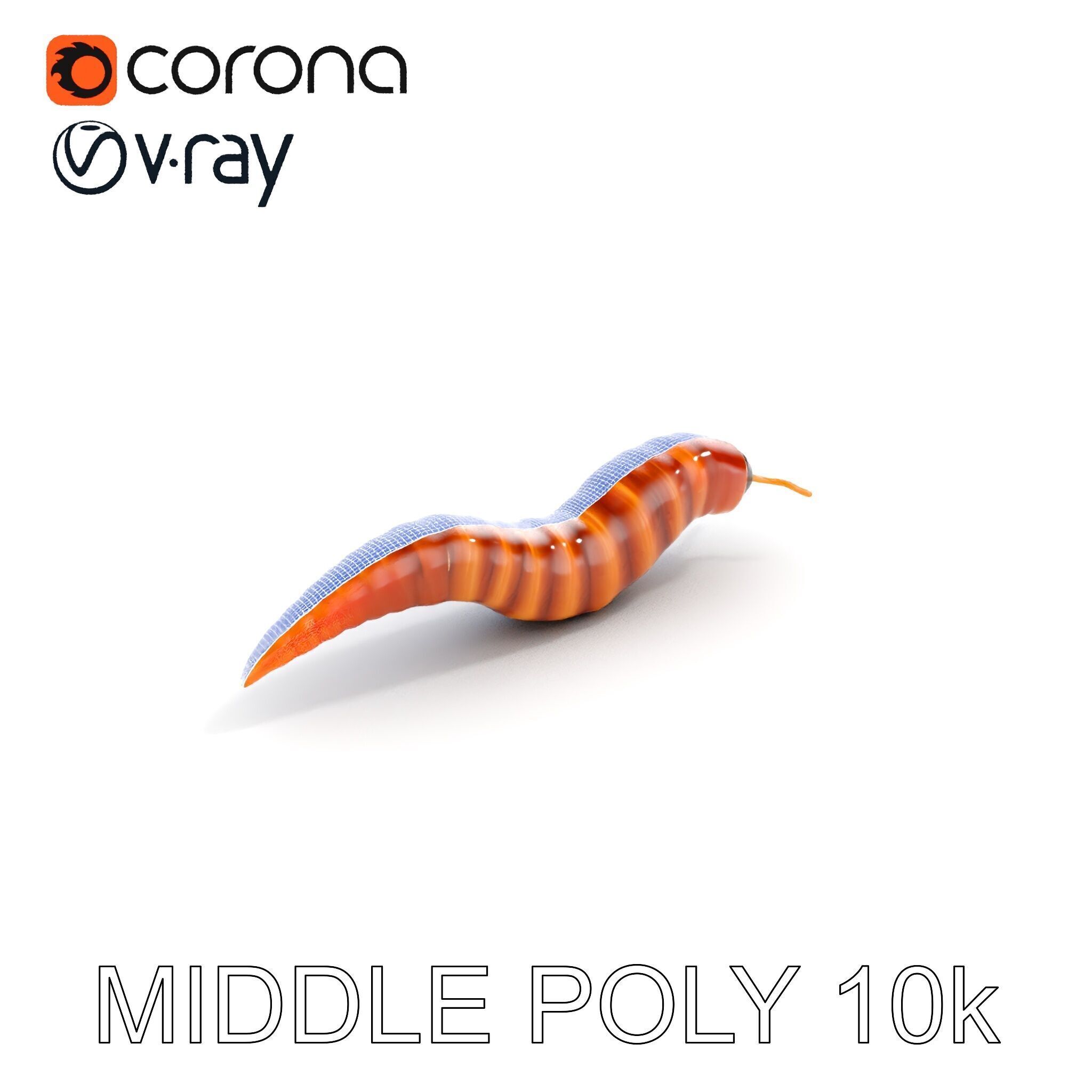 Realistic Worm Model Pack for Animation and Game Design Low-poly 3D model_27