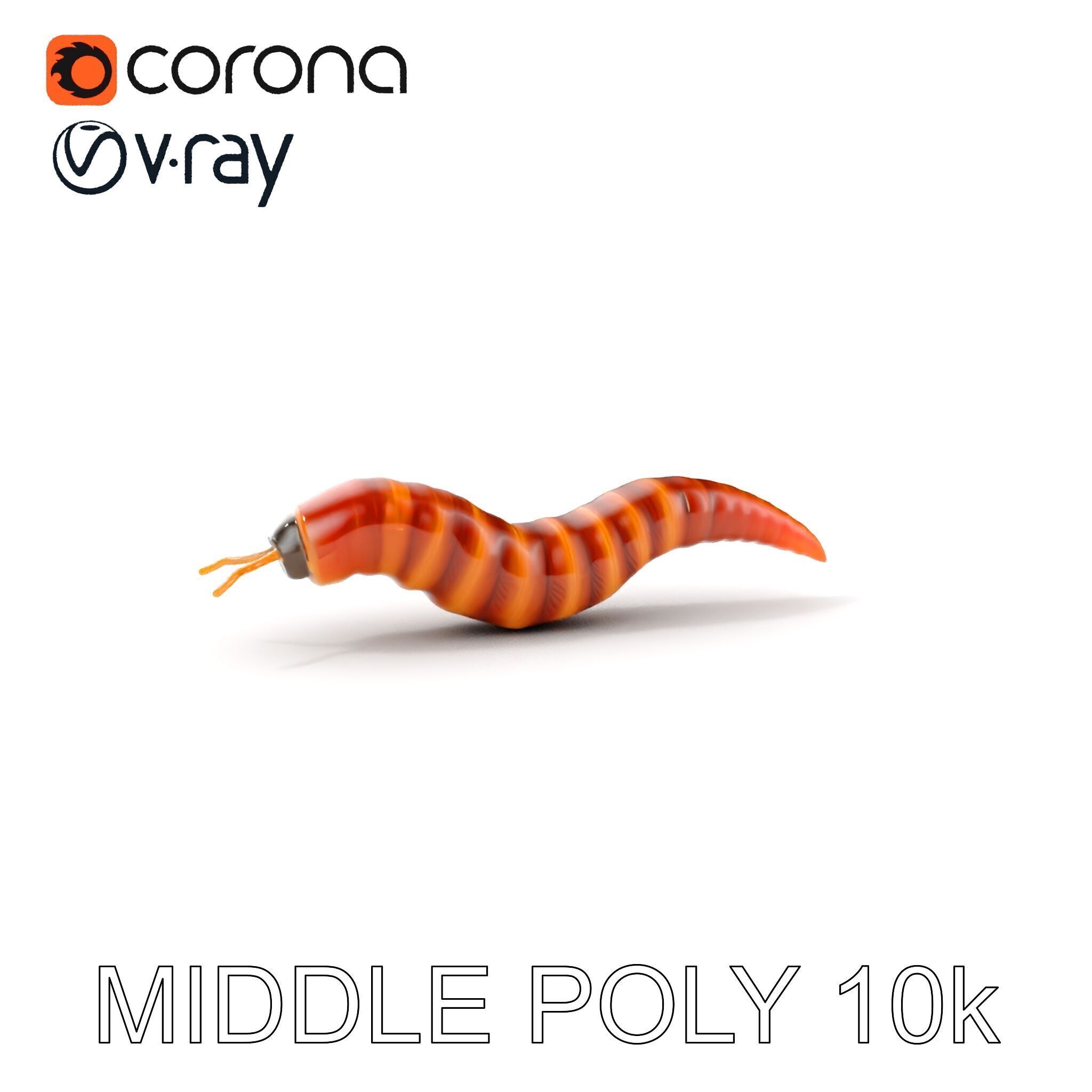 Realistic Worm Model Pack for Animation and Game Design Low-poly 3D model_16