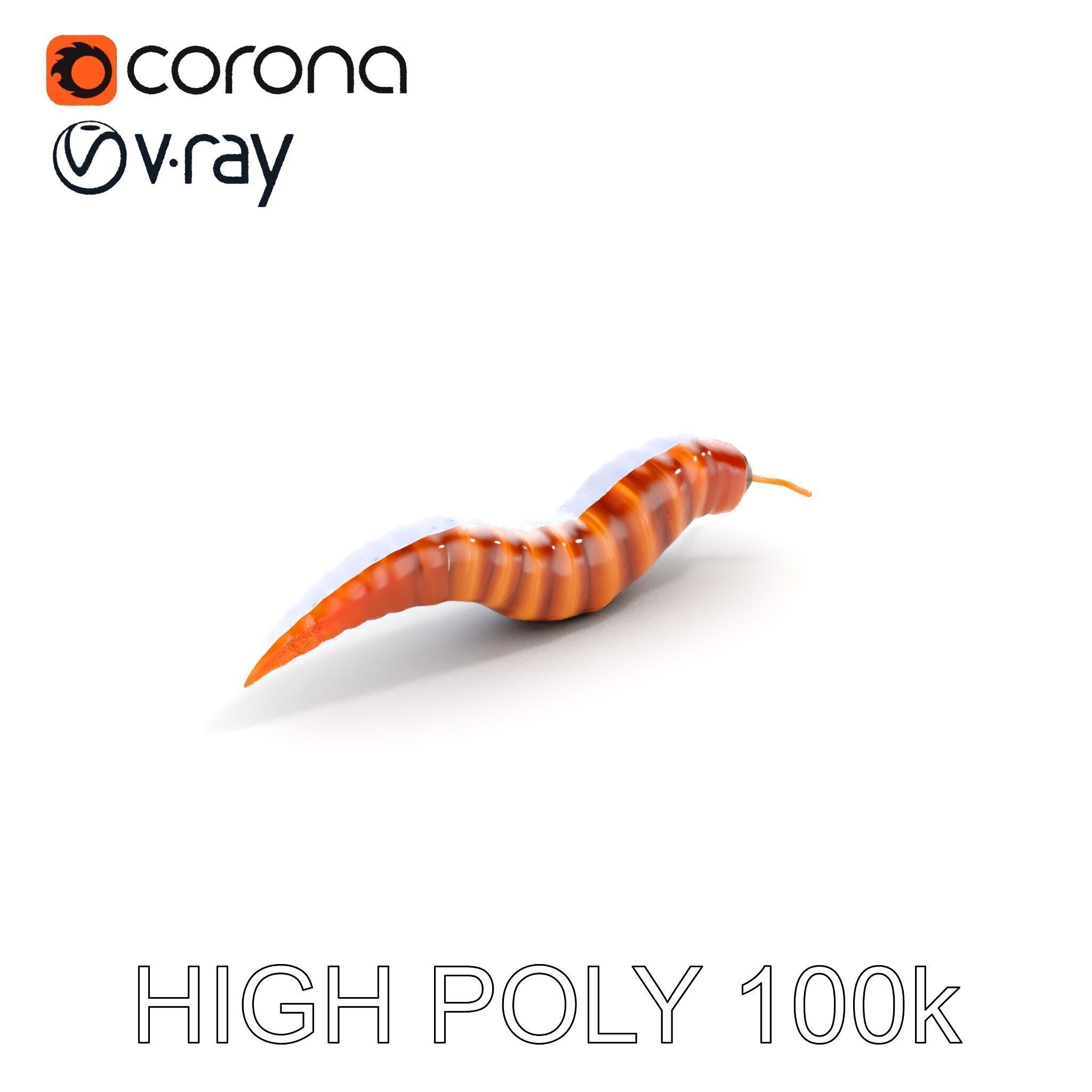 Realistic Worm Model Pack for Animation and Game Design Low-poly 3D model_23