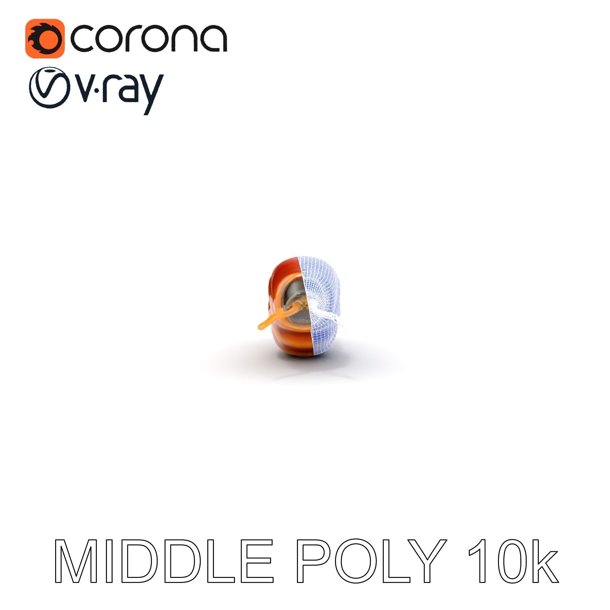 Realistic Worm Model Pack for Animation and Game Design Low-poly 3D model_33