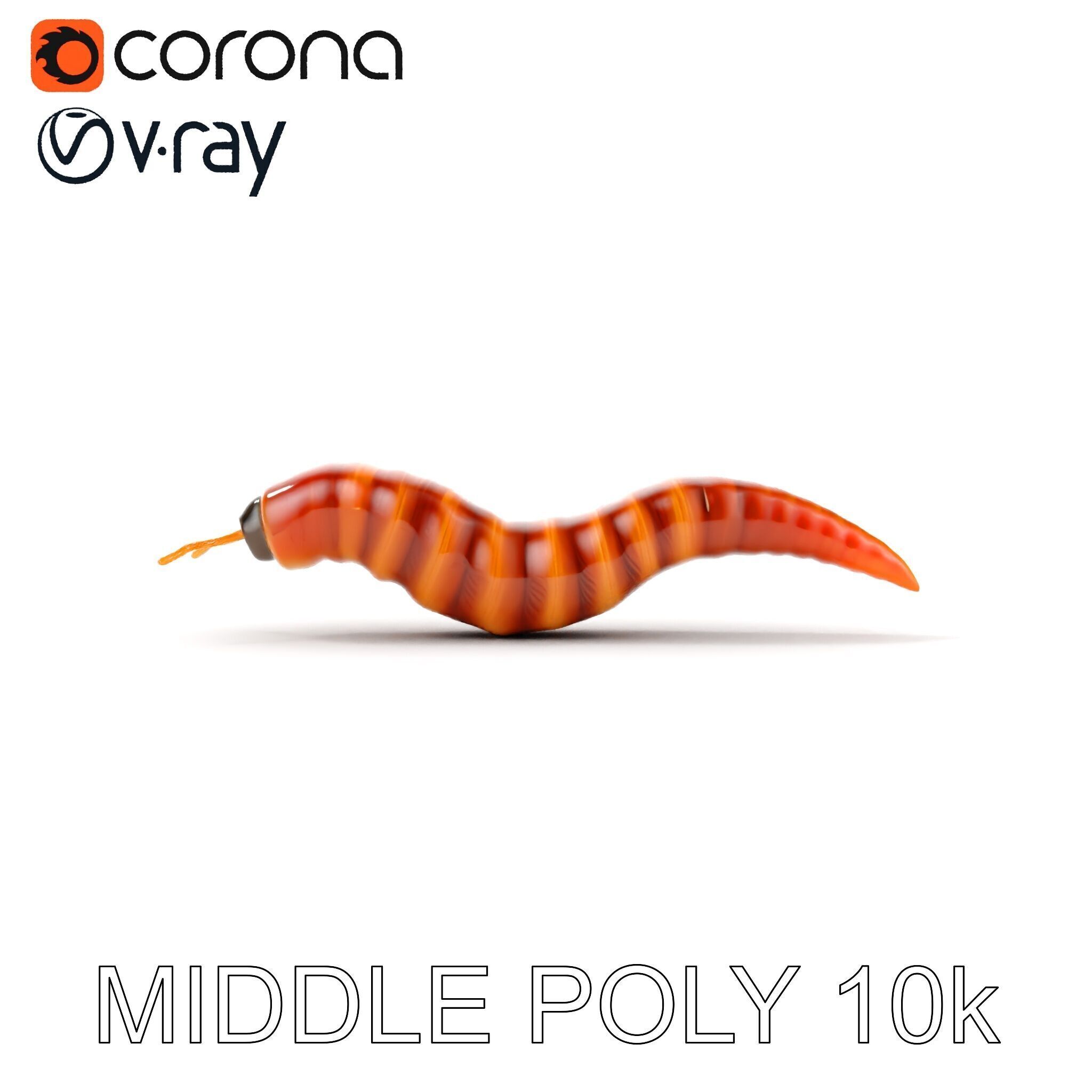 Realistic Worm Model Pack for Animation and Game Design Low-poly 3D model_24