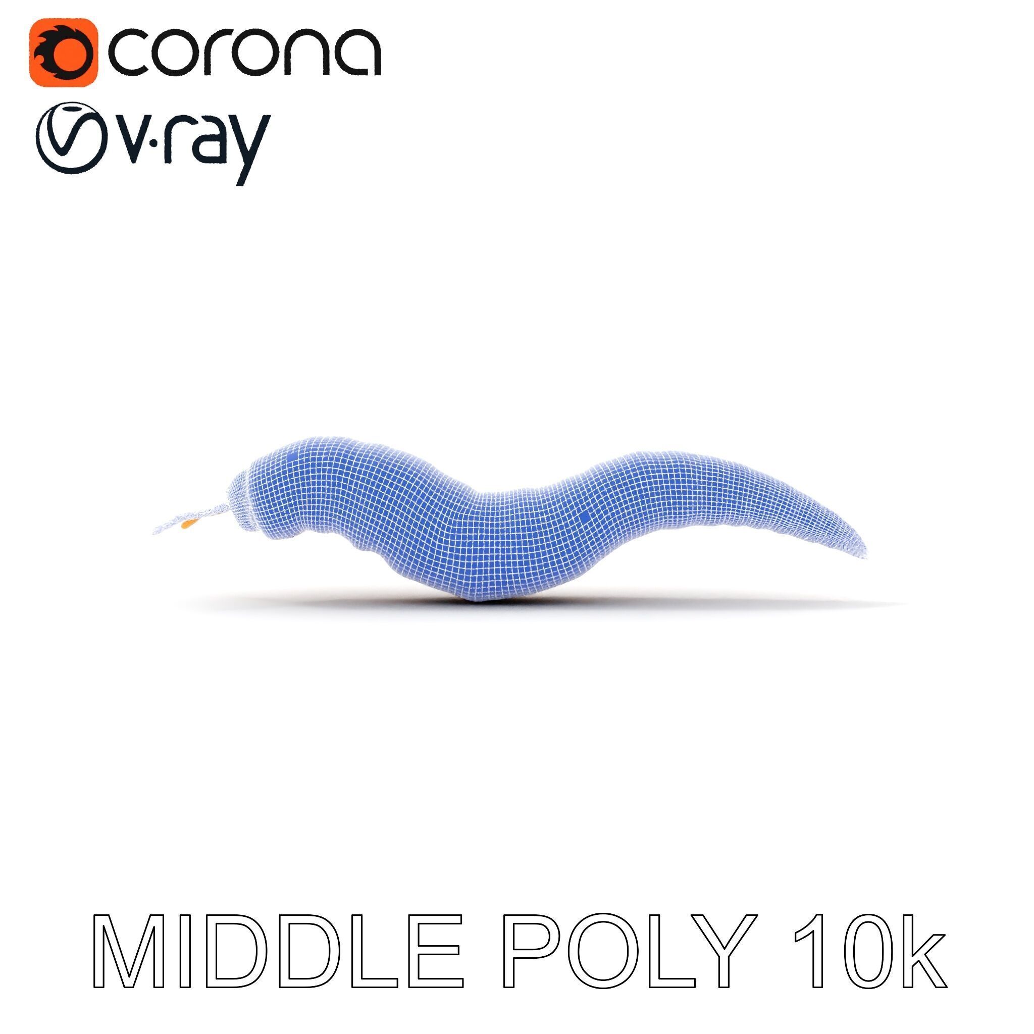 Realistic Worm Model Pack for Animation and Game Design Low-poly 3D model_30