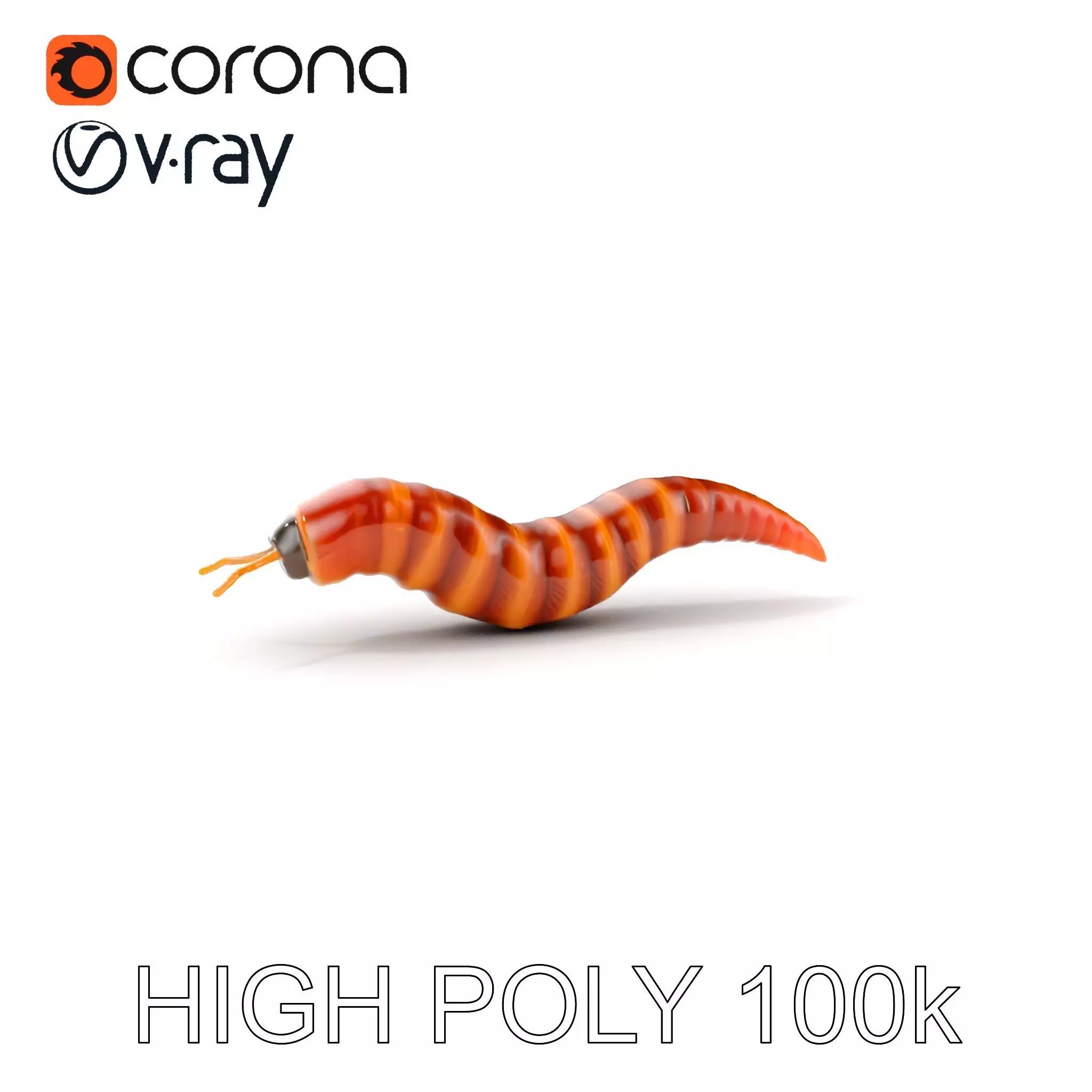 Realistic Worm Model Pack for Animation and Game Design Low-poly 3D model_0
