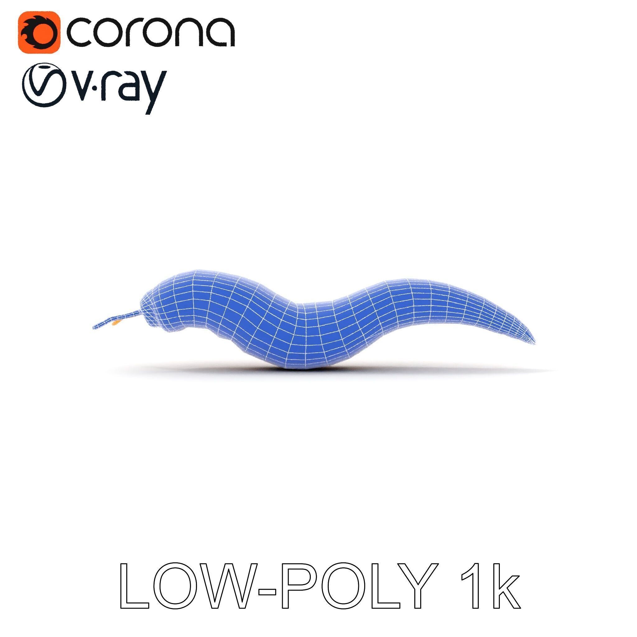 Realistic Worm Model Pack for Animation and Game Design Low-poly 3D model_11