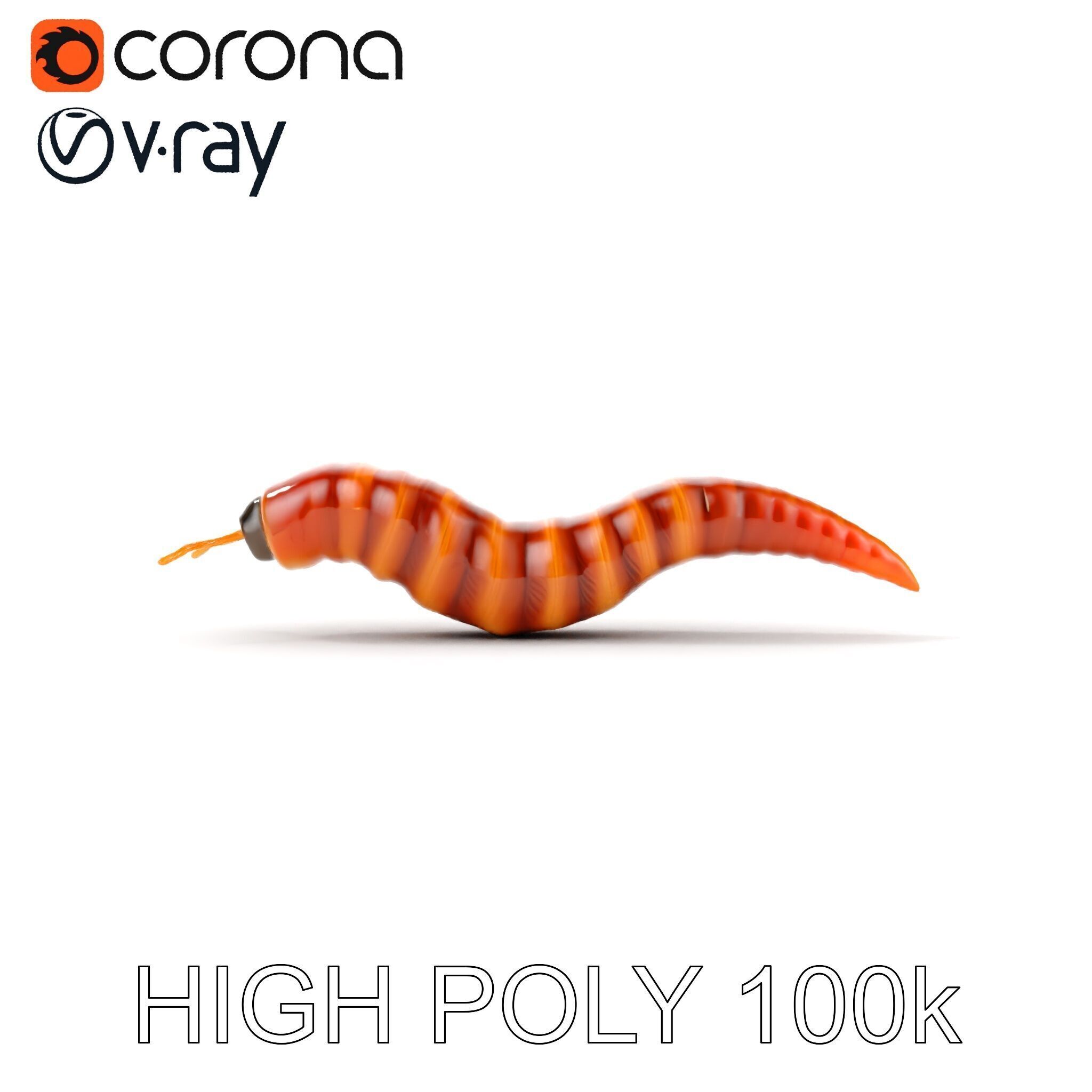 Realistic Worm Model Pack for Animation and Game Design Low-poly 3D model_26
