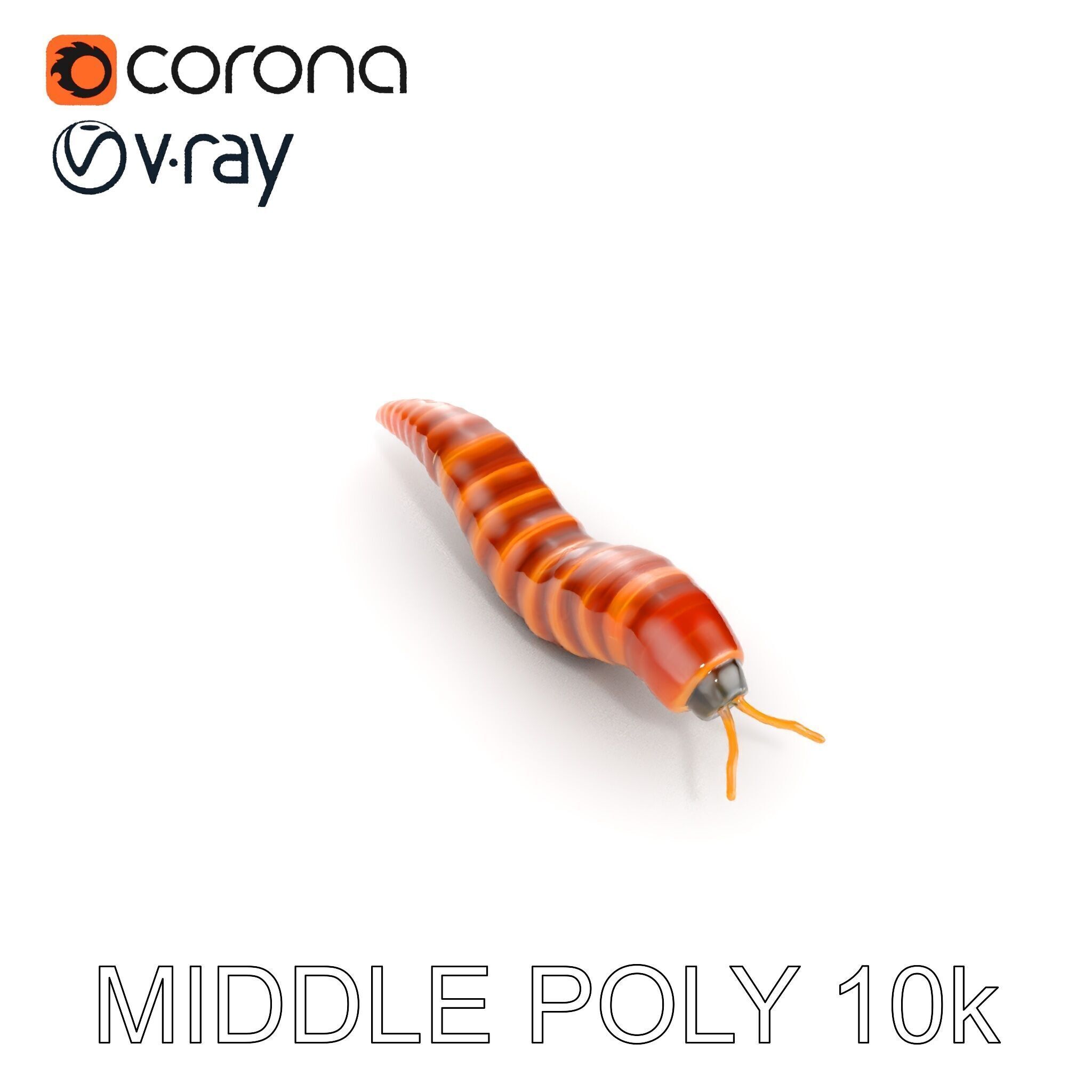 Realistic Worm Model Pack for Animation and Game Design Low-poly 3D model_13
