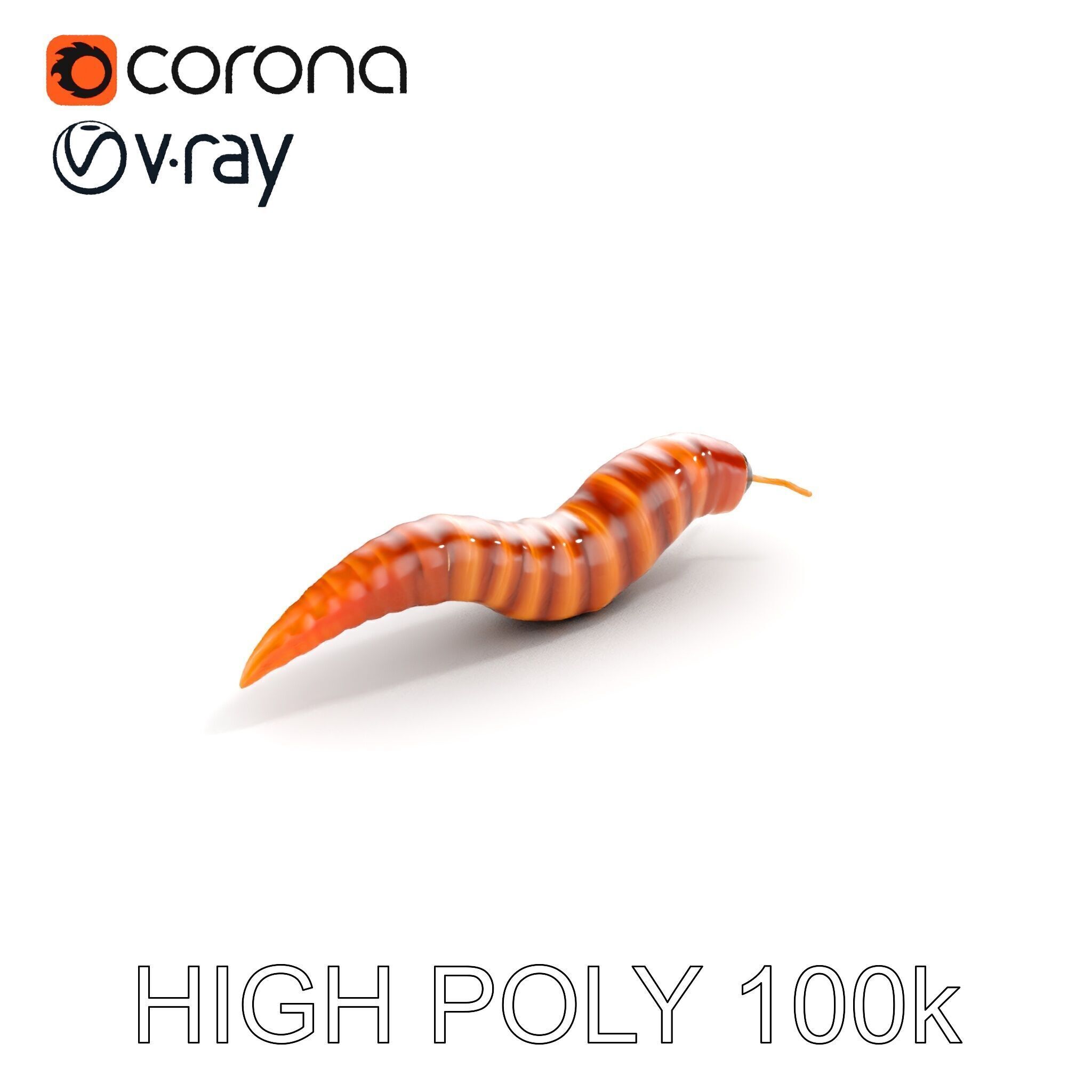 Realistic Worm Model Pack for Animation and Game Design Low-poly 3D model_15