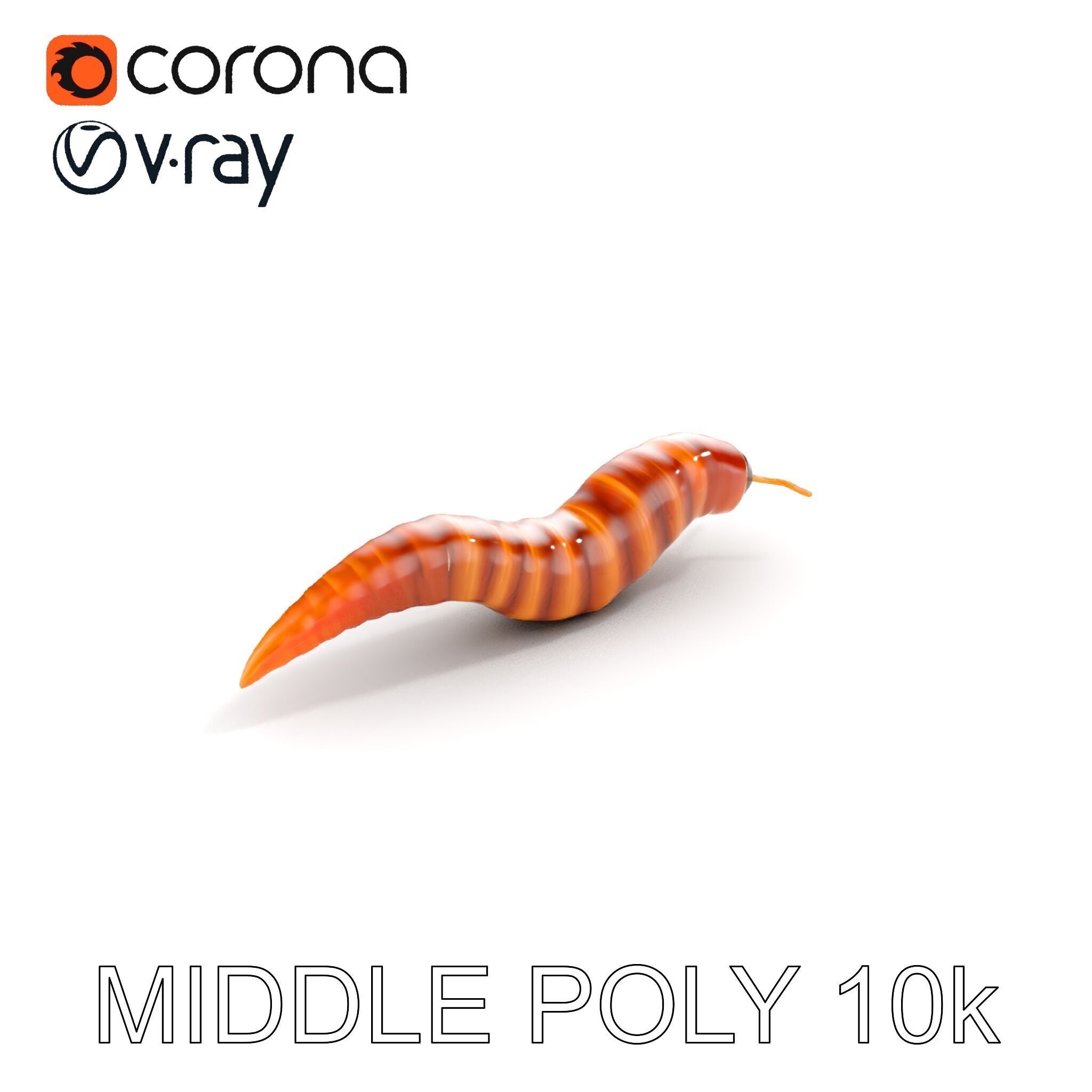 Realistic Worm Model Pack for Animation and Game Design Low-poly 3D model_19