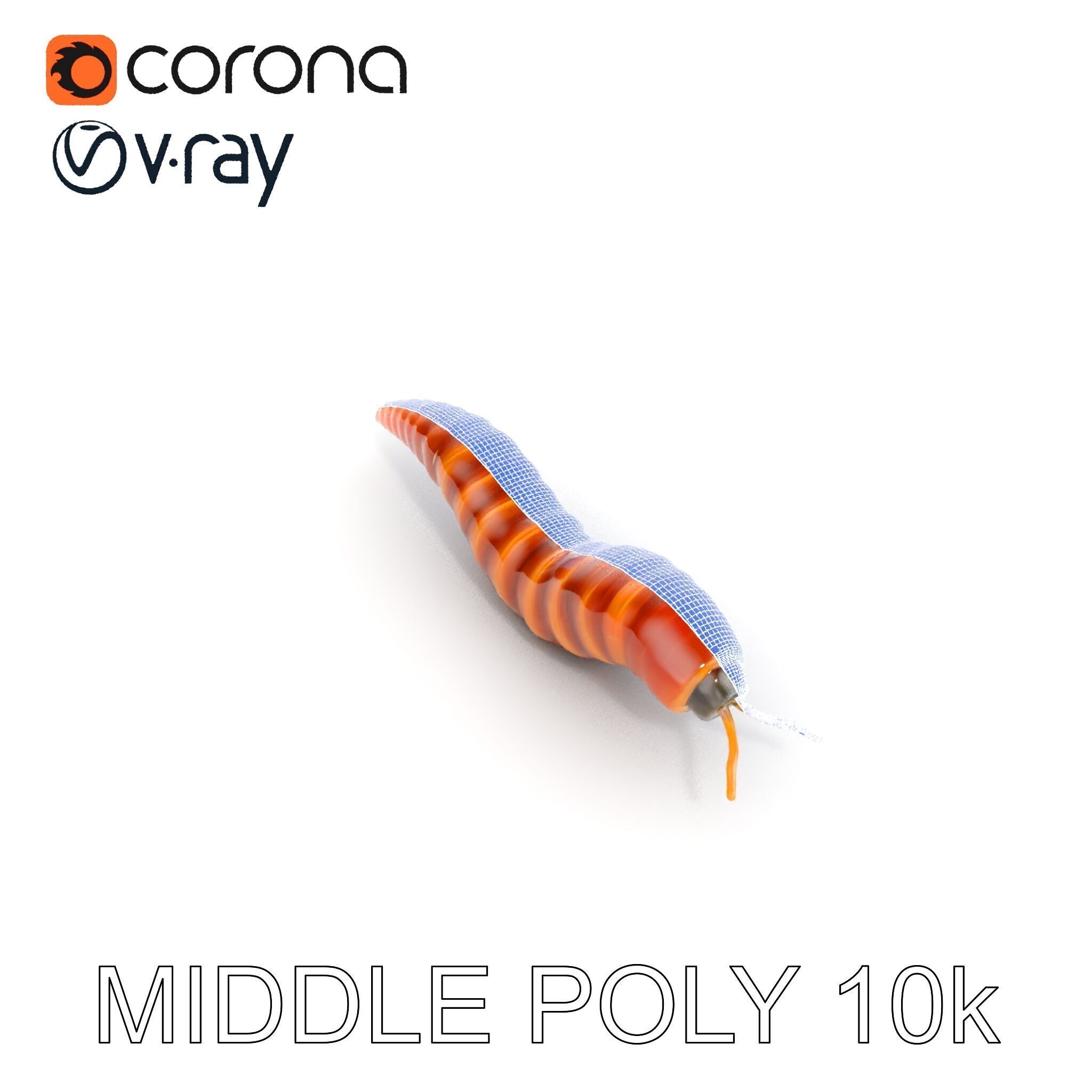 Realistic Worm Model Pack for Animation and Game Design Low-poly 3D model_21