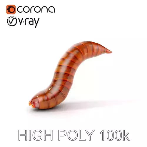 Realistic Worm Model Pack for Animation and Games