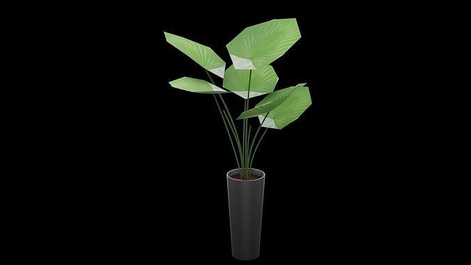 Plant Pot Low-poly 3D model