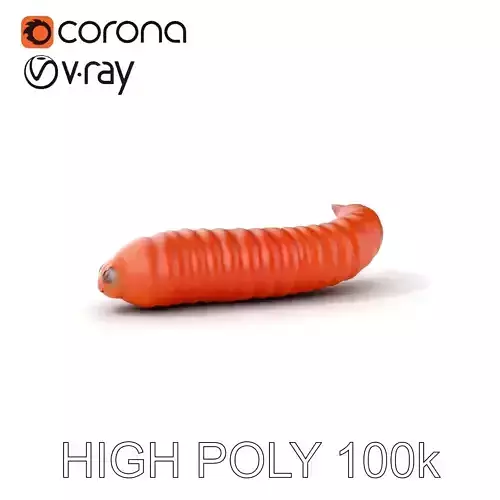 Realistic Worm D Model Pack with PBR Textures