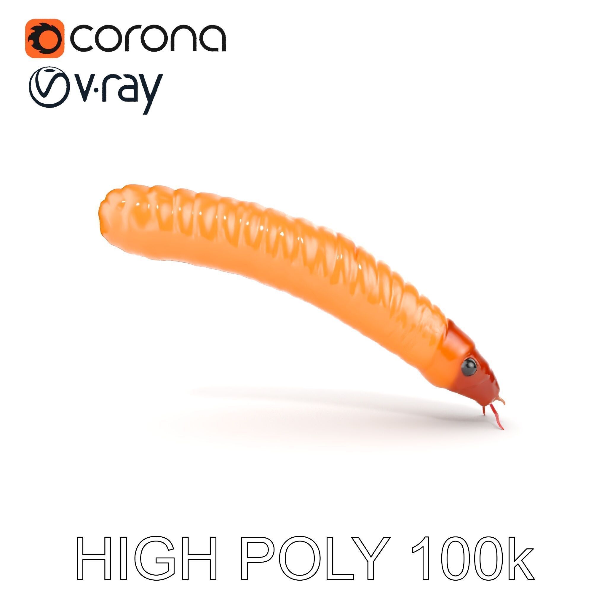 Detailed Insect Model Pack for D Design Low-poly 3D model_22