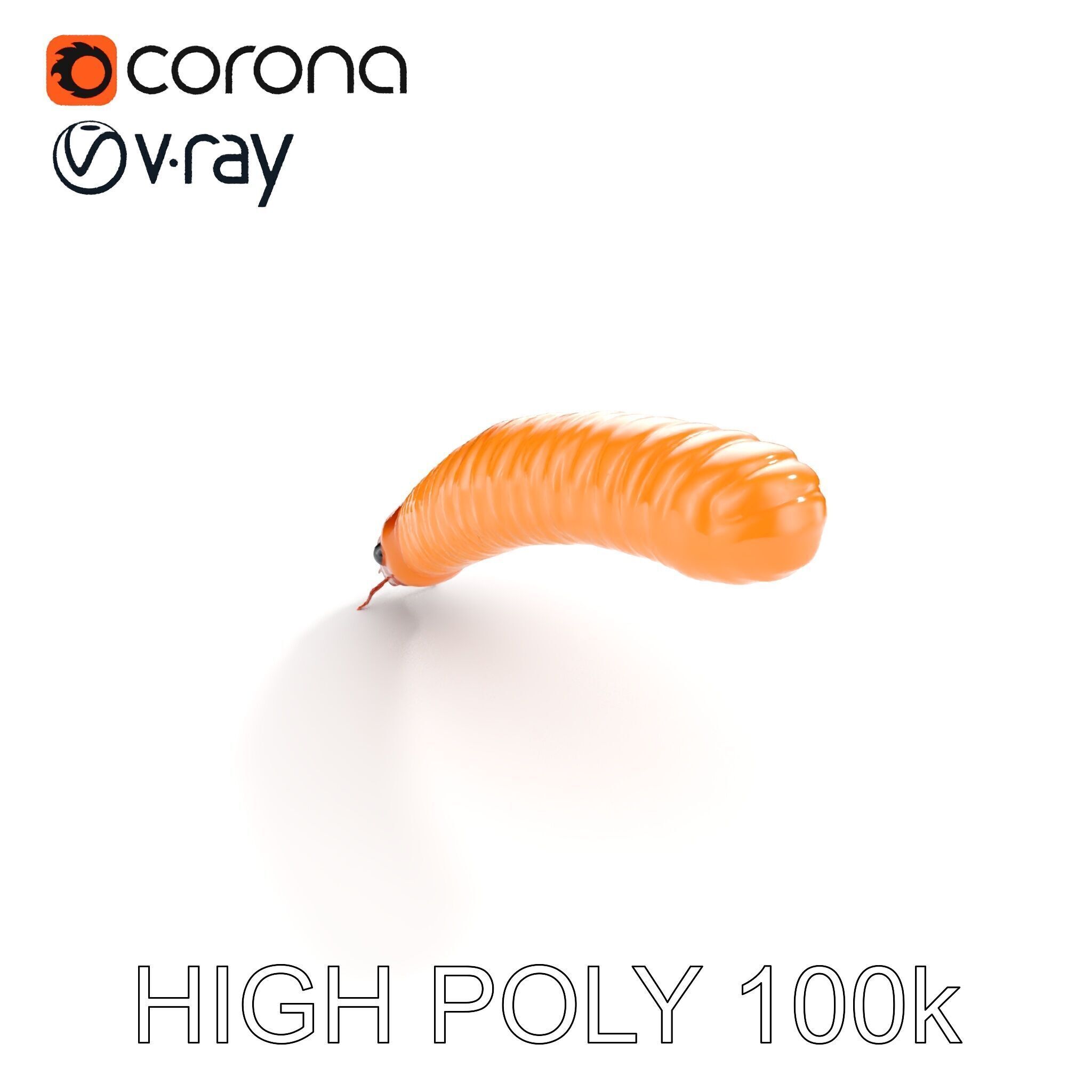 Detailed Insect Model Pack for D Design Low-poly 3D model_19