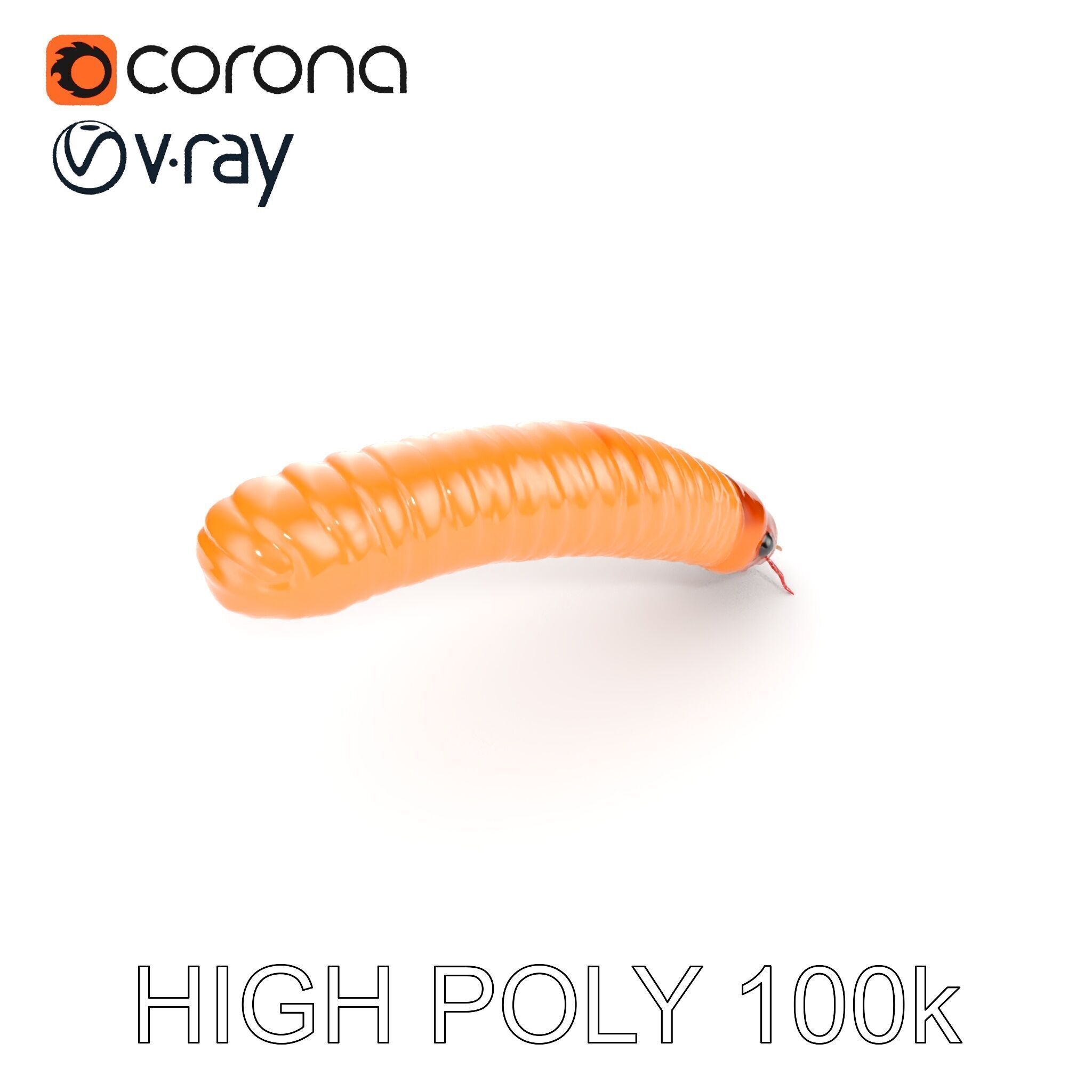 Detailed Insect Model Pack for D Design Low-poly 3D model_35