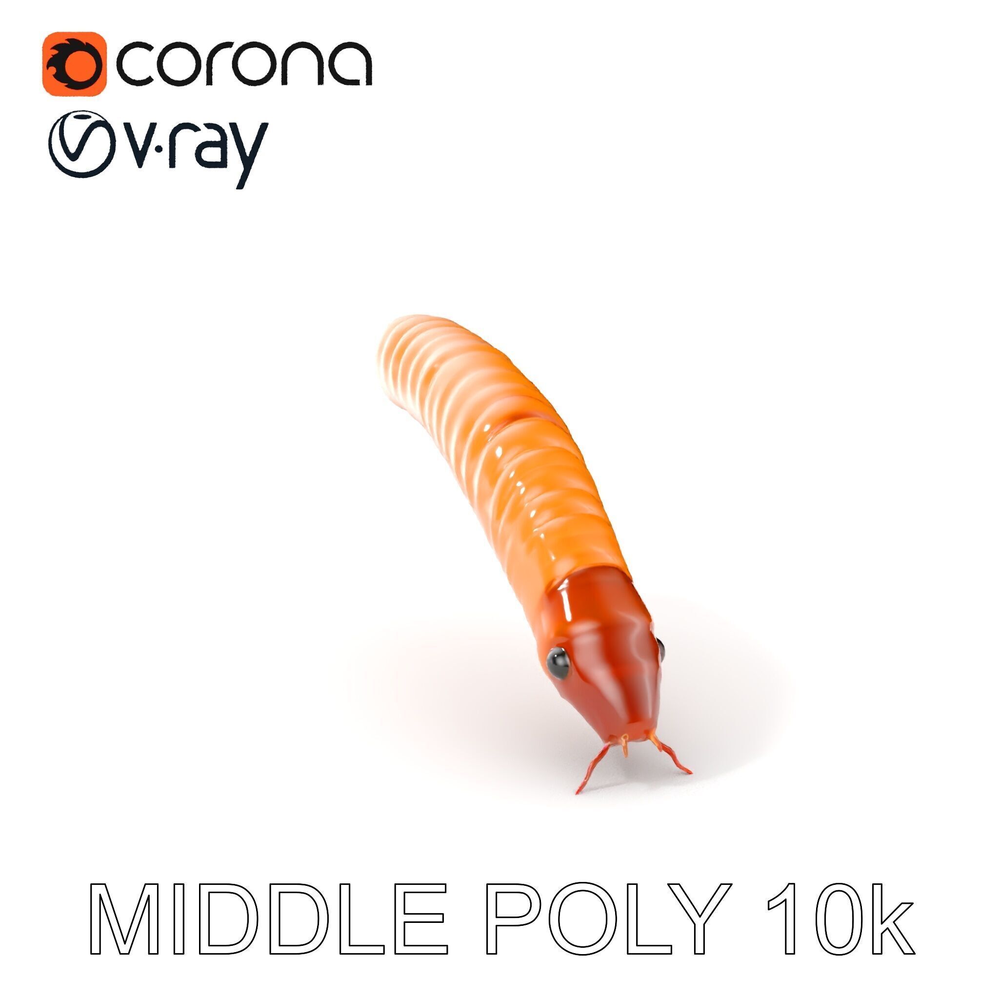 Detailed Insect Model Pack for D Design Low-poly 3D model_12