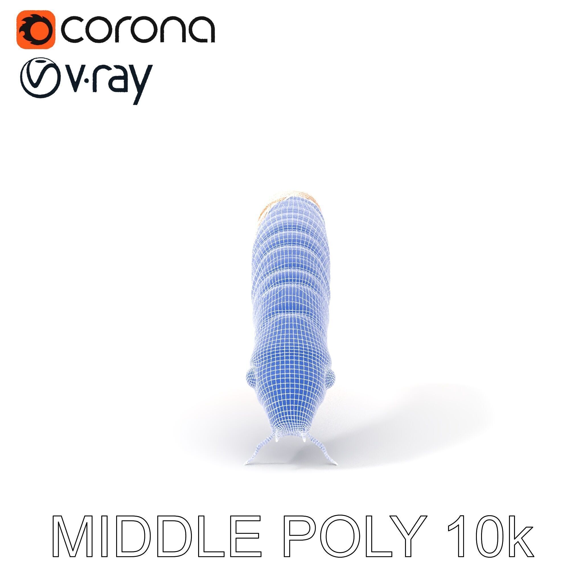 Detailed Insect Model Pack for D Design Low-poly 3D model_25