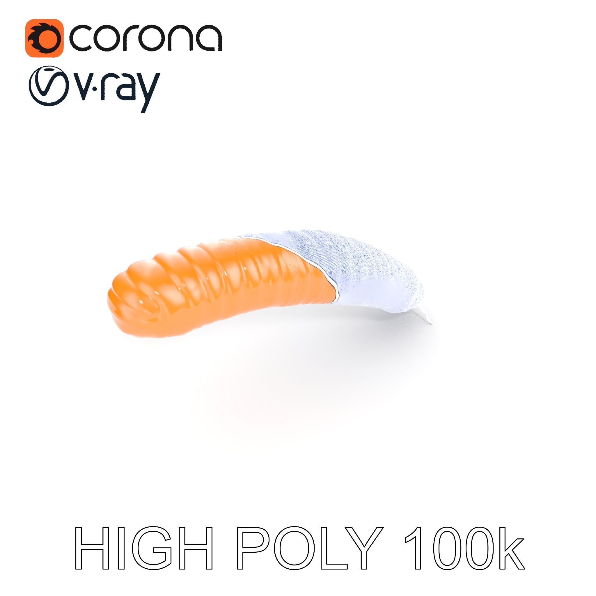 Detailed Insect Model Pack for D Design Low-poly 3D model_11