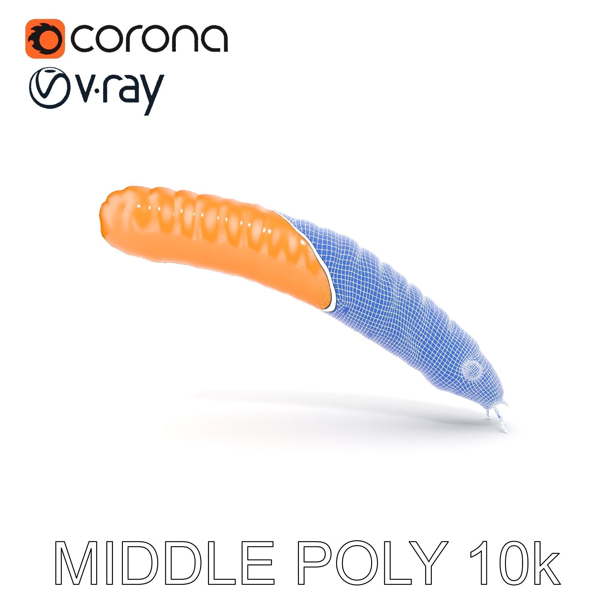 Detailed Insect Model Pack for D Design Low-poly 3D model_14