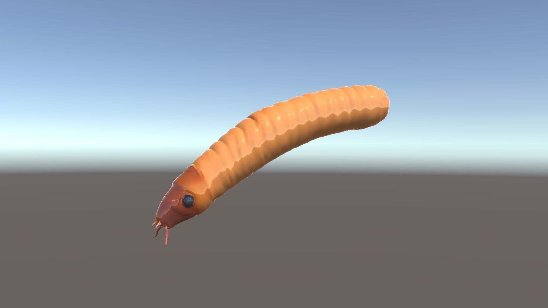 Detailed Insect Model Pack for D Design Low-poly 3D model_6