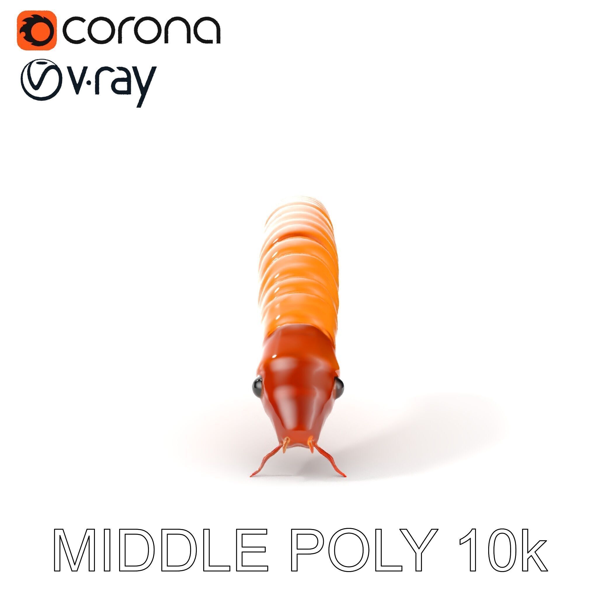 Detailed Insect Model Pack for D Design Low-poly 3D model_20