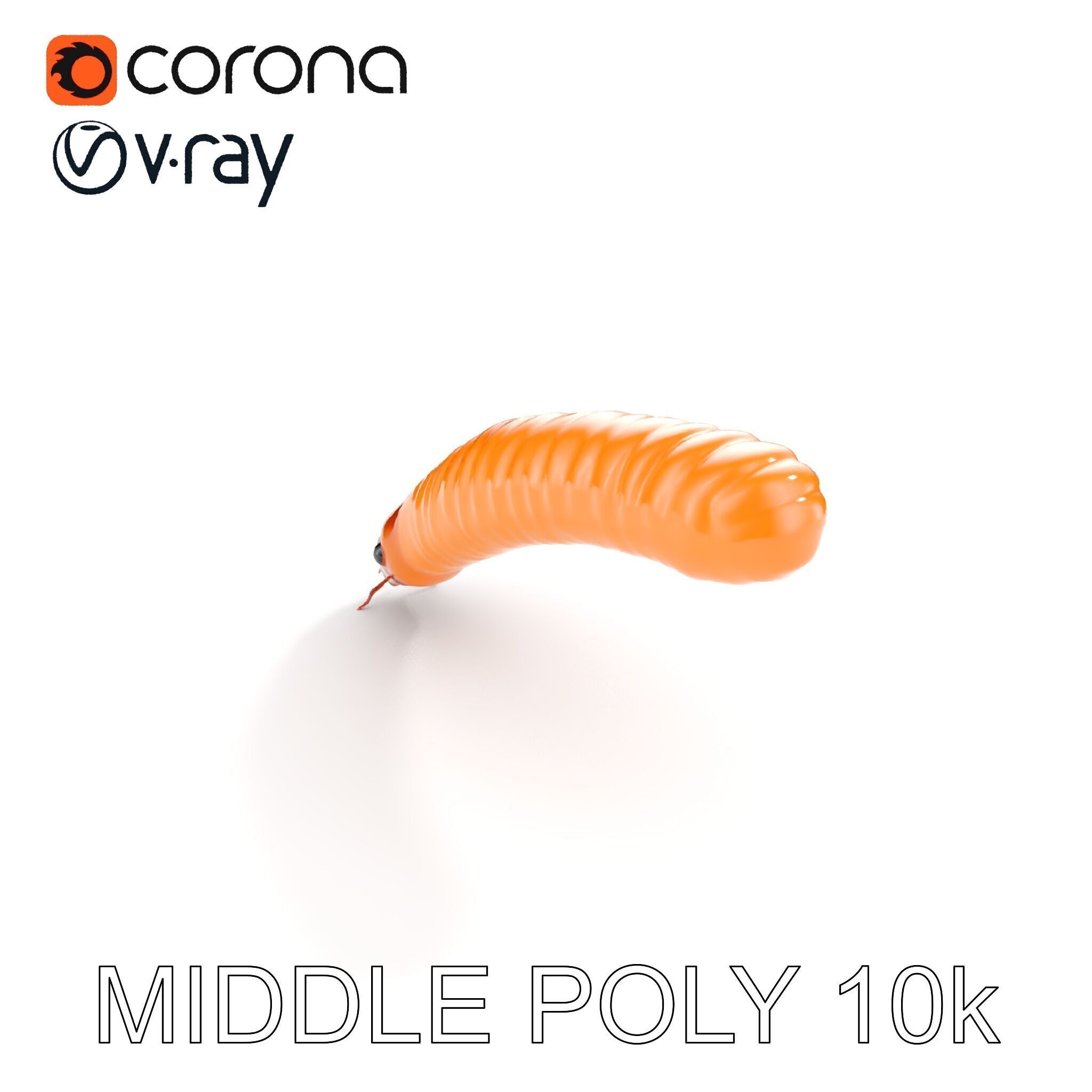 Detailed Insect Model Pack for D Design Low-poly 3D model_30