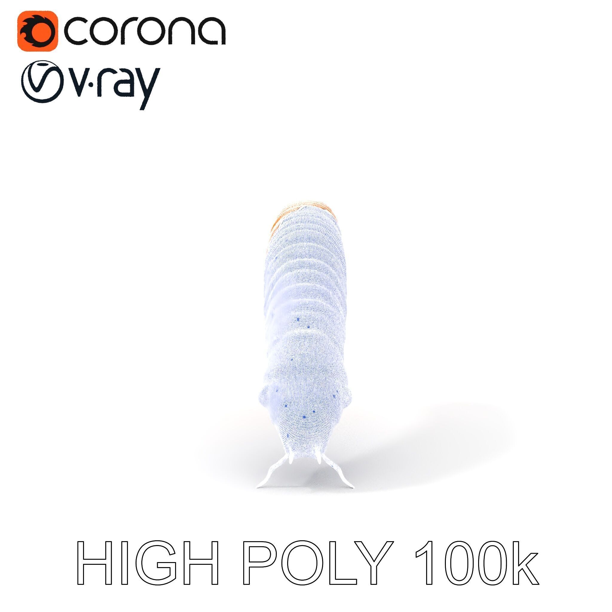 Detailed Insect Model Pack for D Design Low-poly 3D model_32