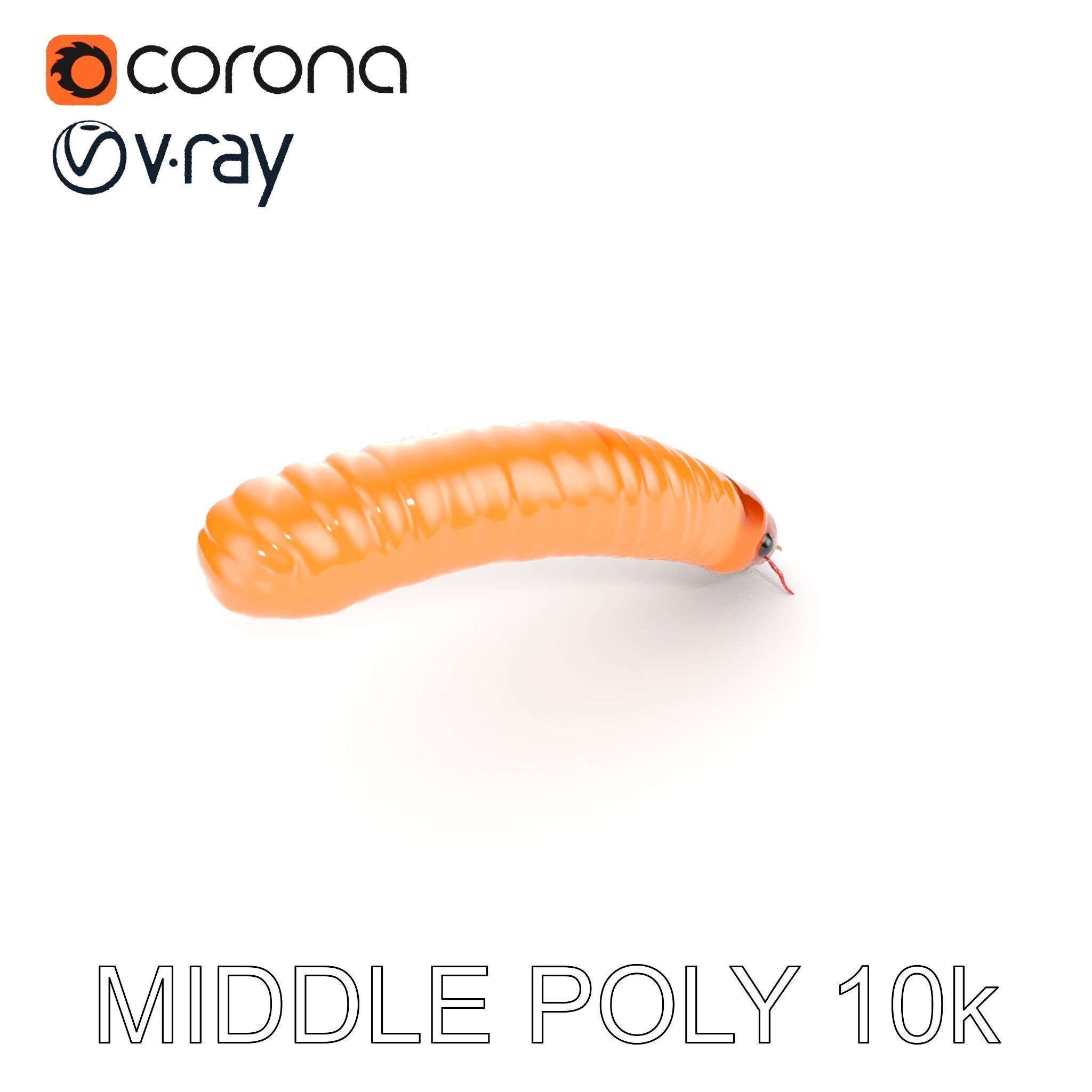 Detailed Insect Model Pack for D Design Low-poly 3D model_23