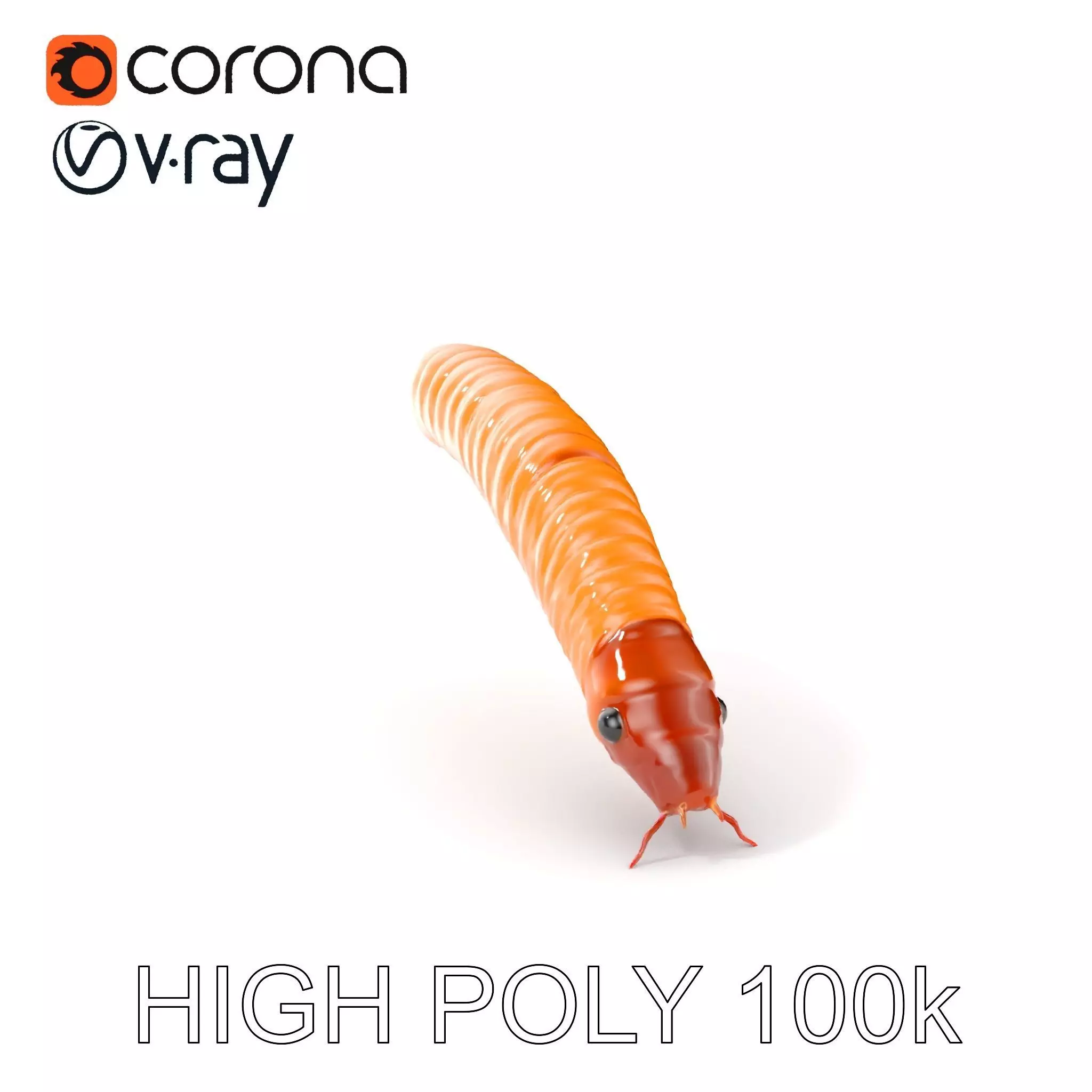 Detailed Insect Model Pack for D Design Low-poly 3D model_0