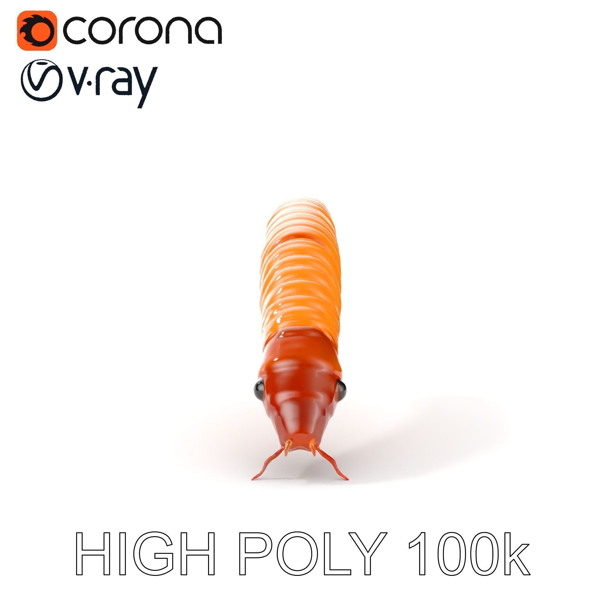 Detailed Insect Model Pack for D Design Low-poly 3D model_8