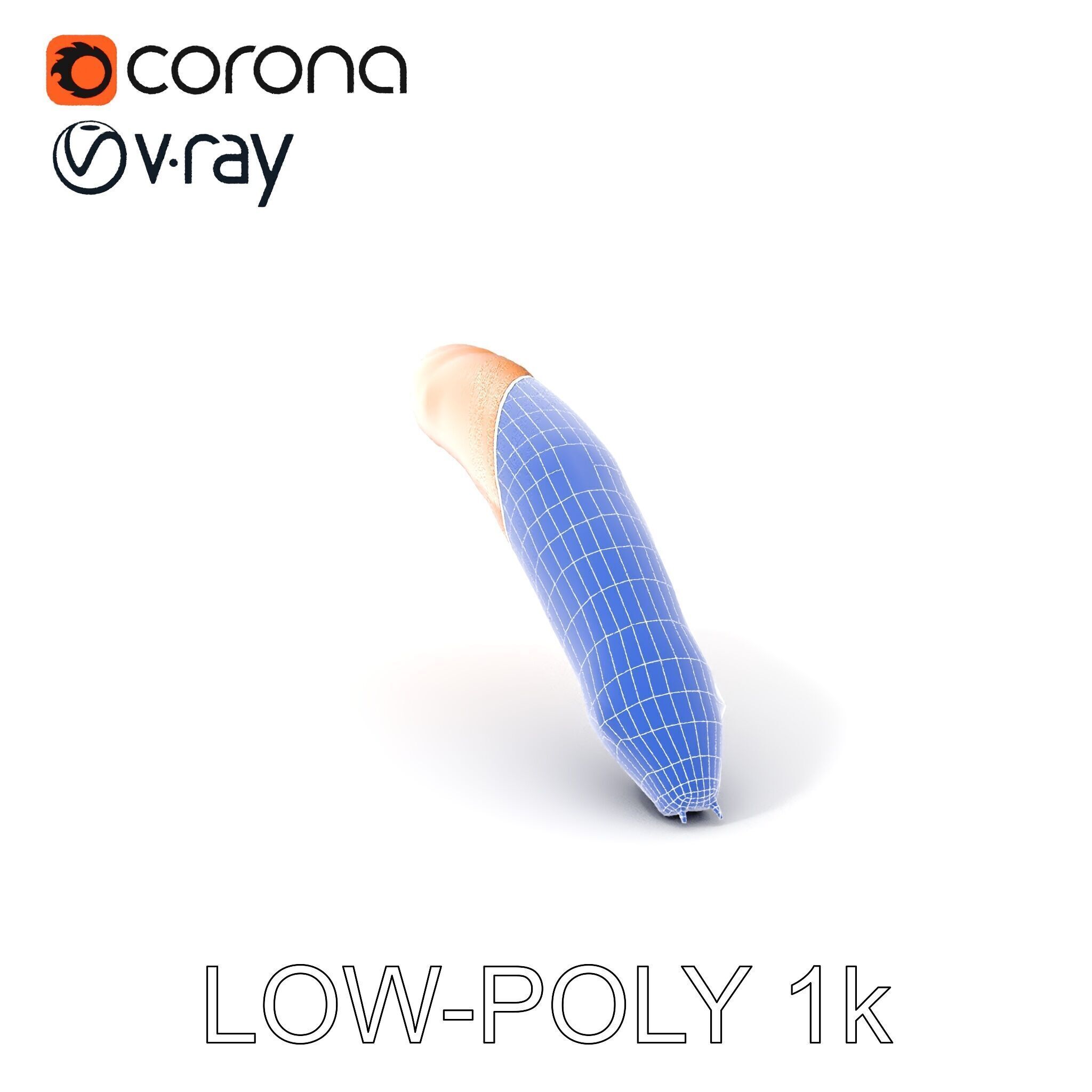 Detailed Insect Model Pack for D Design Low-poly 3D model_18