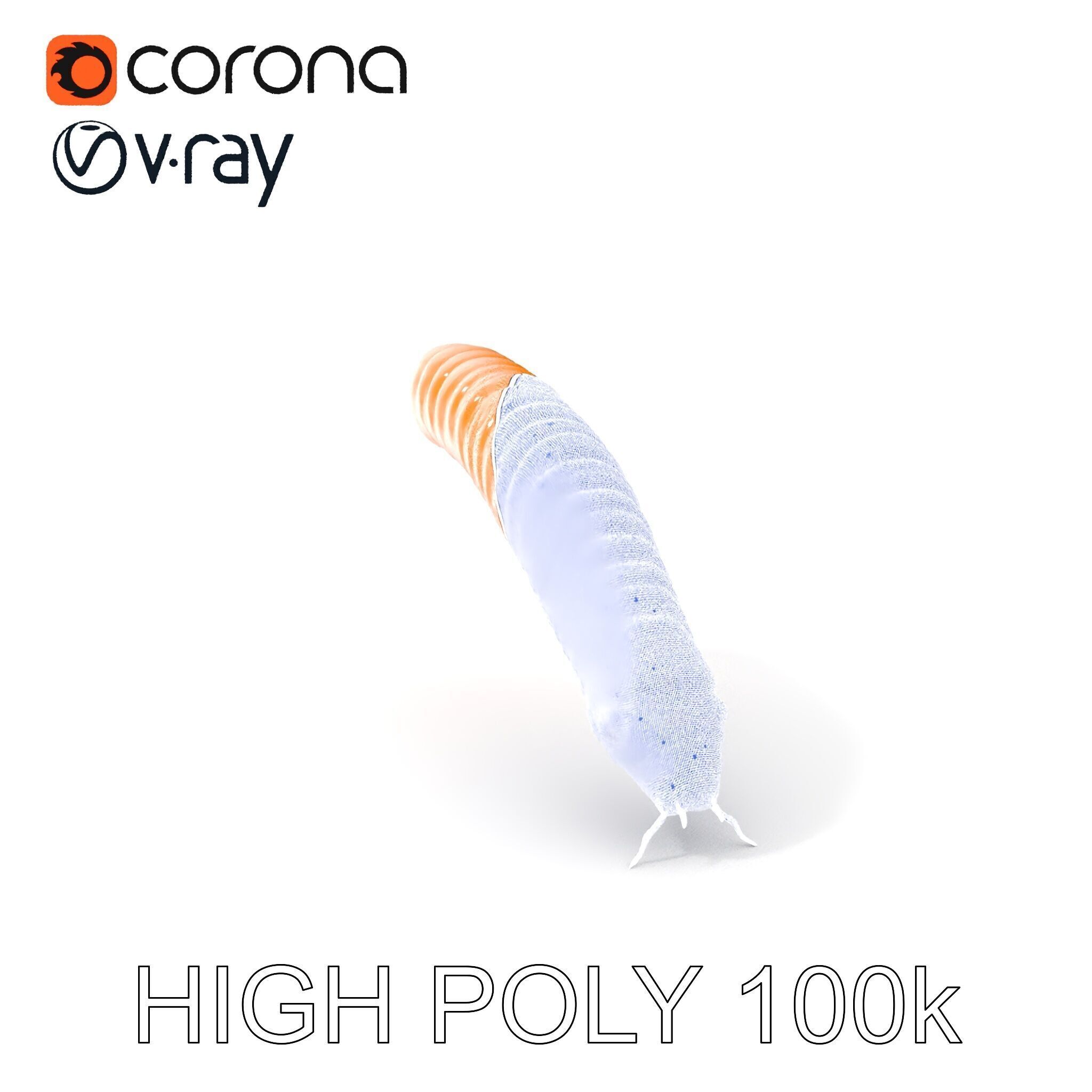 Detailed Insect Model Pack for D Design Low-poly 3D model_4