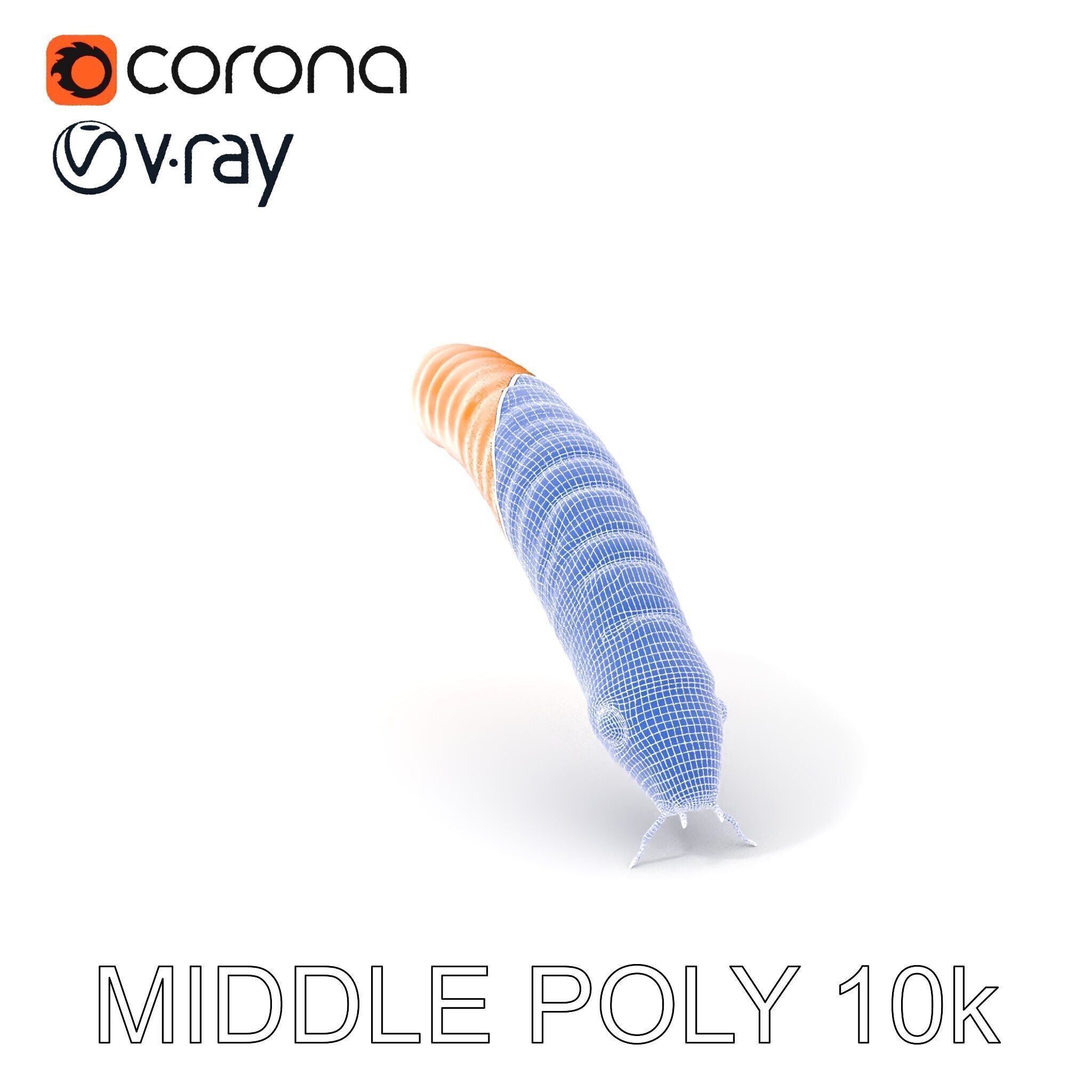 Detailed Insect Model Pack for D Design Low-poly 3D model_17