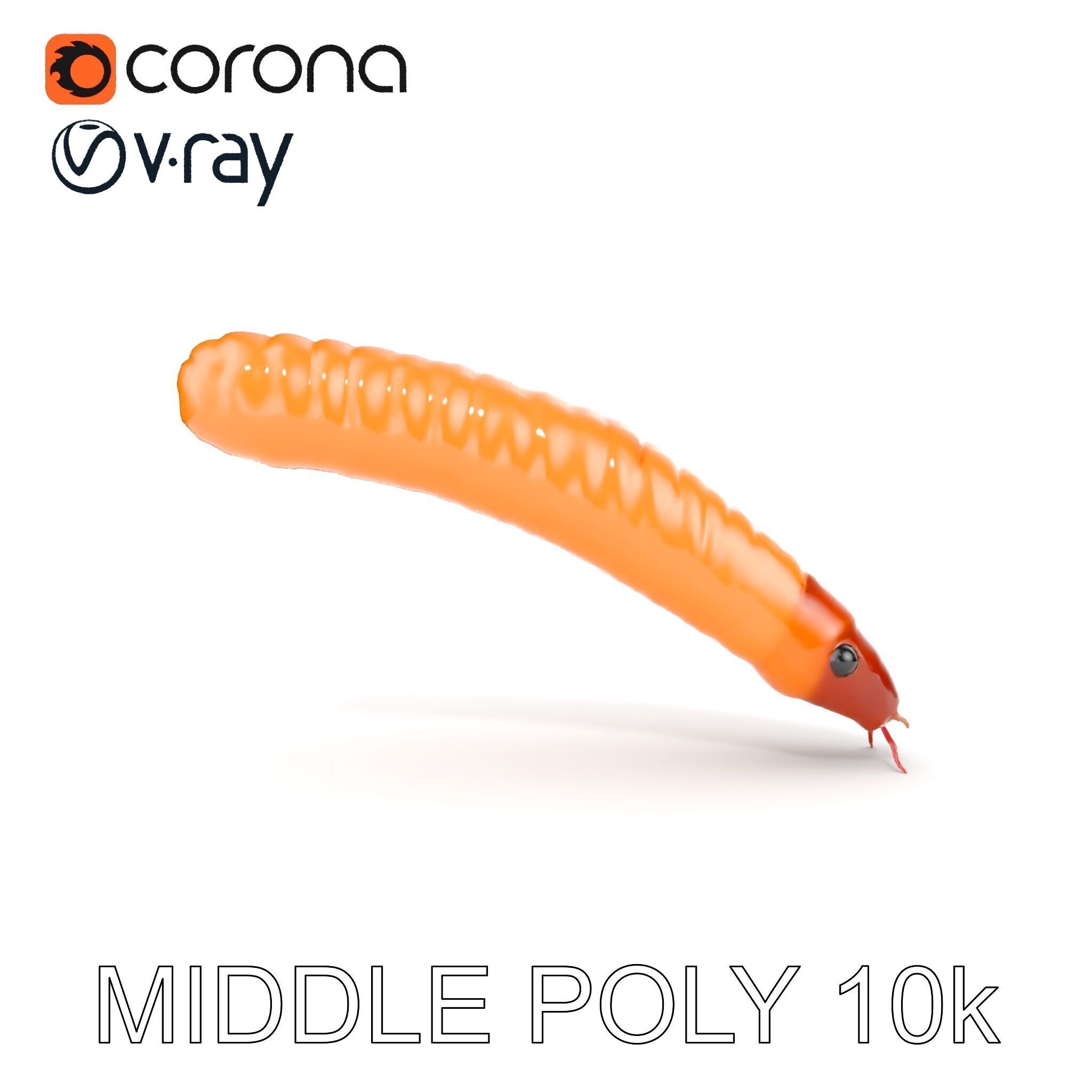 Detailed Insect Model Pack for D Design Low-poly 3D model_9