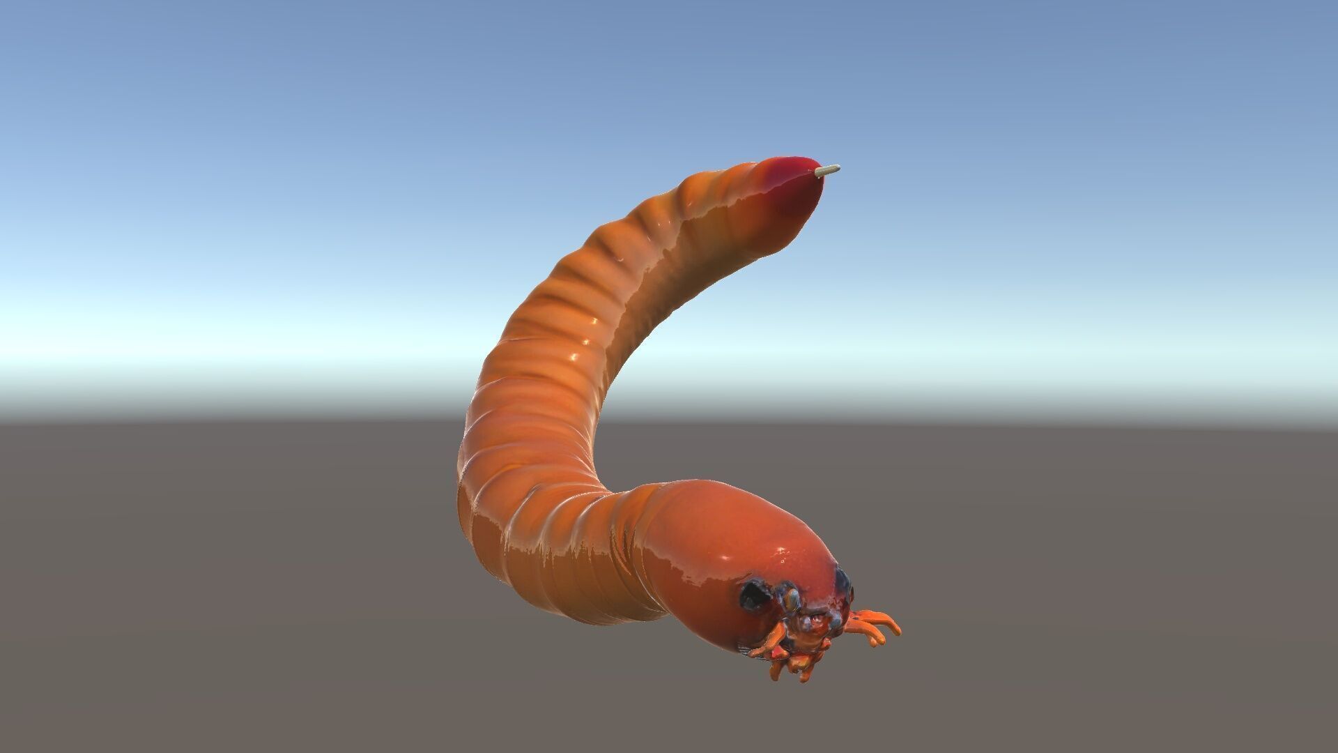 Realistic Centipede Model Pack for D Applications Low-poly 3D model_14