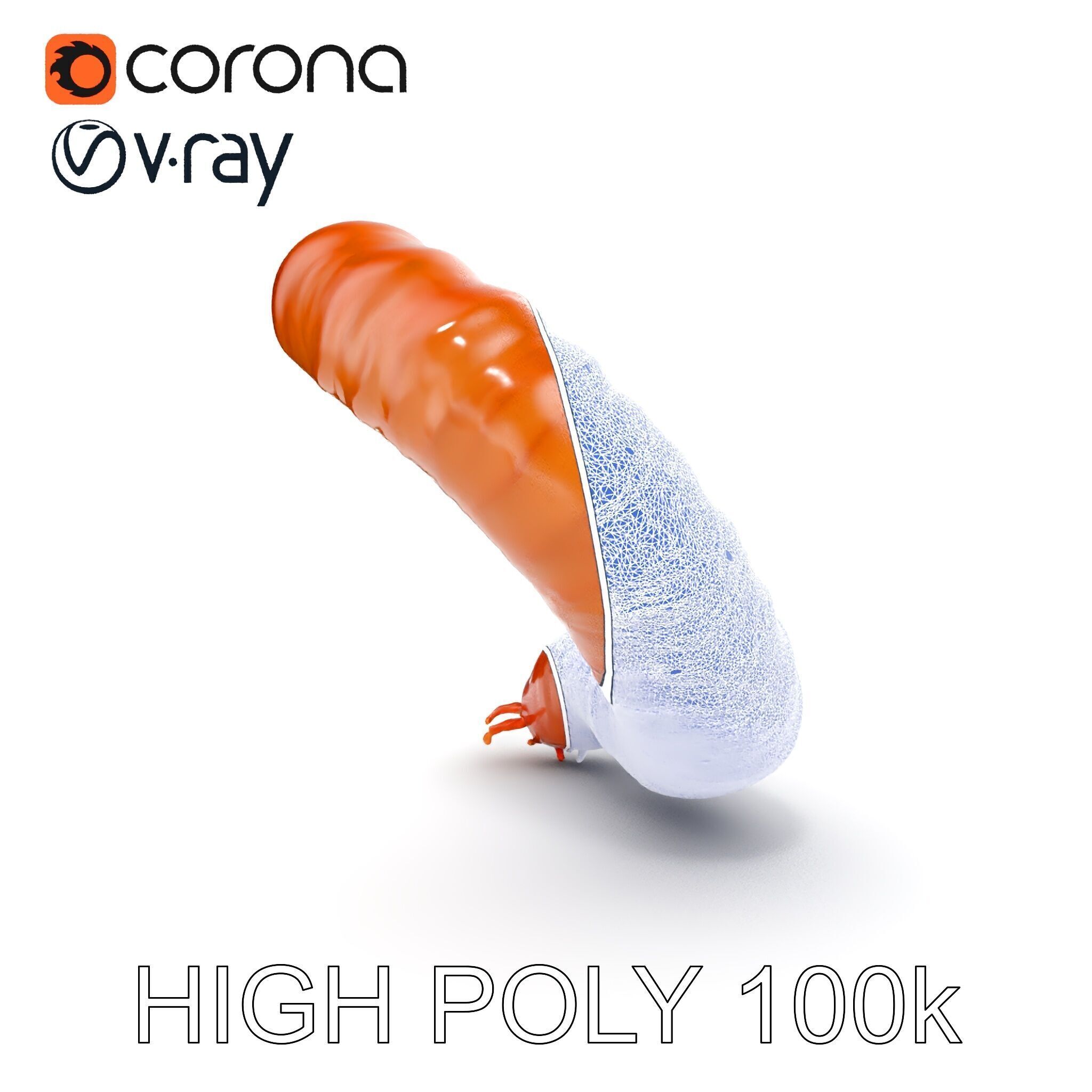 Realistic Centipede Model Pack for D Applications Low-poly 3D model_19