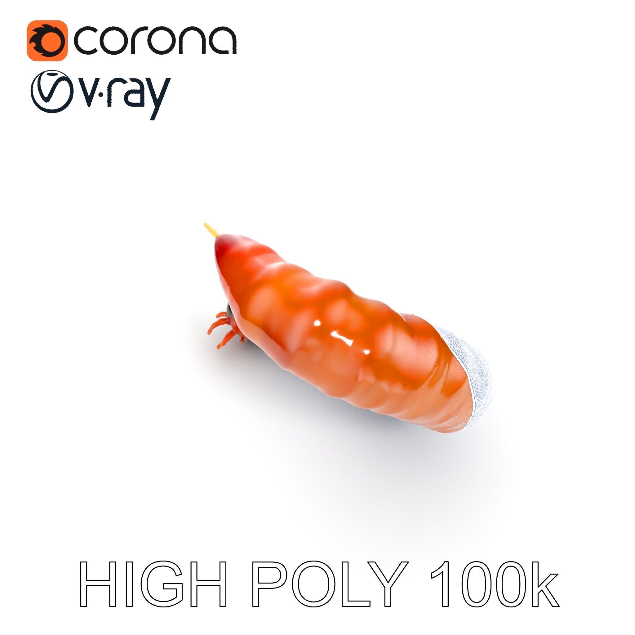 Realistic Centipede Model Pack for D Applications Low-poly 3D model_18