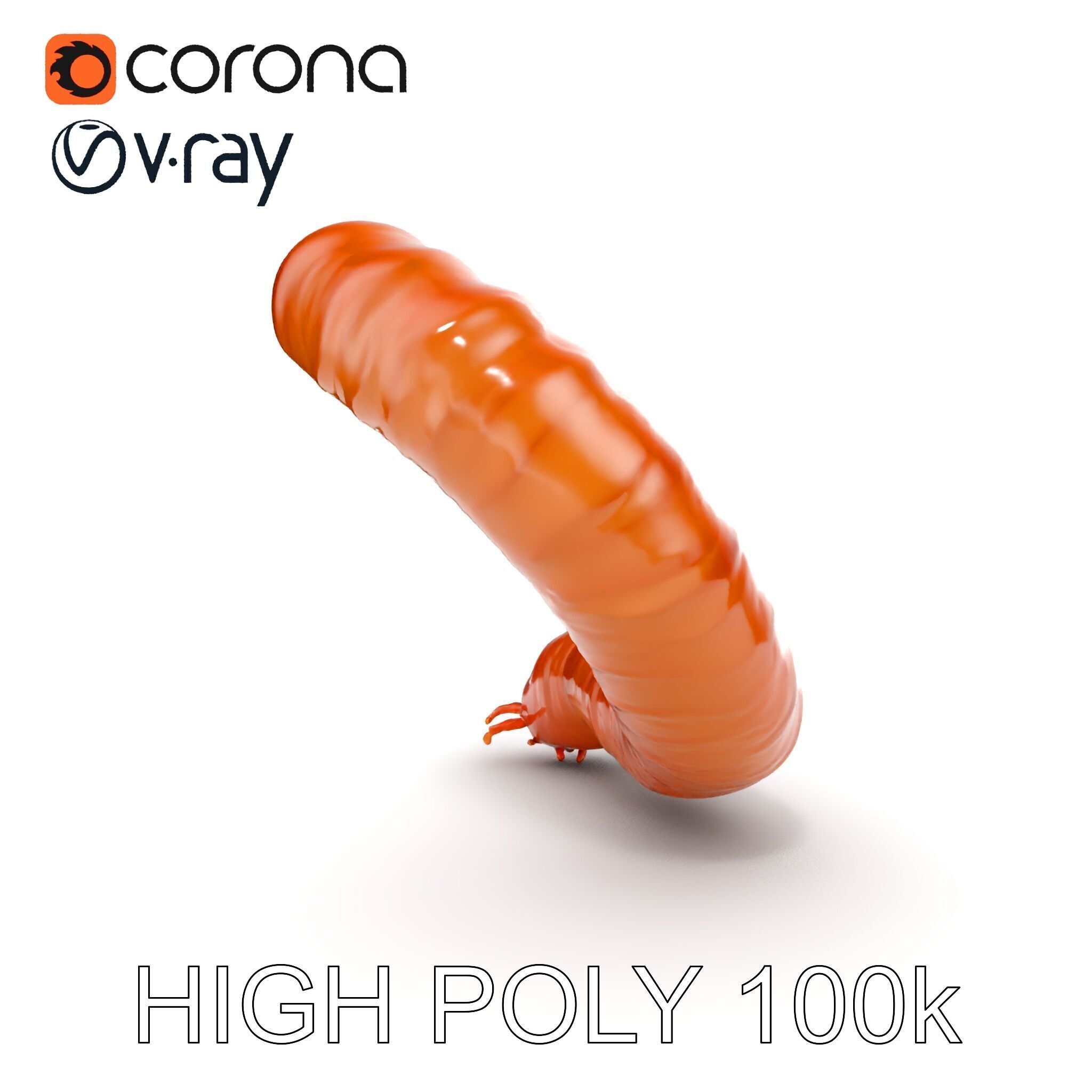 Realistic Centipede Model Pack for D Applications Low-poly 3D model_6