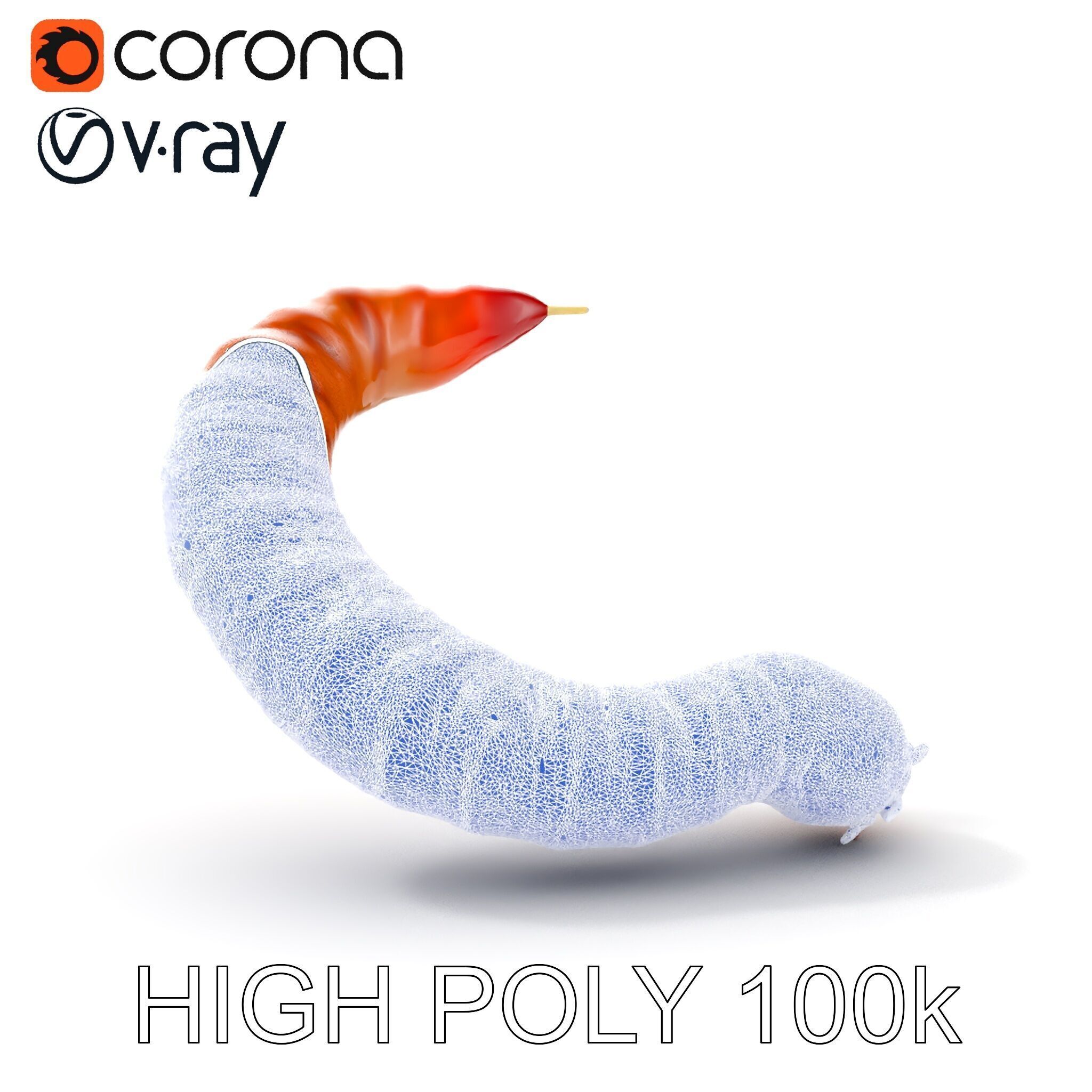 Realistic Centipede Model Pack for D Applications Low-poly 3D model_7