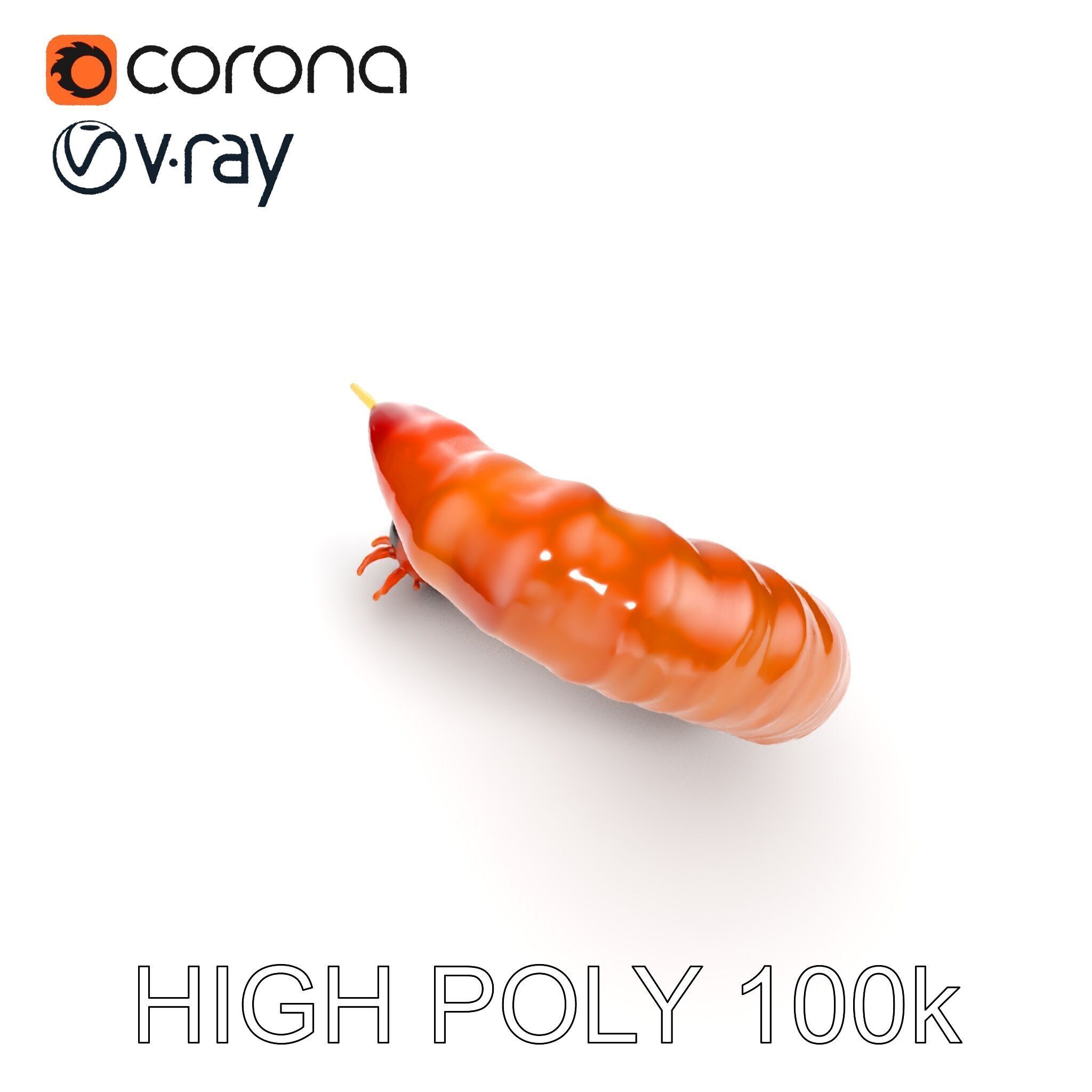 Realistic Centipede Model Pack for D Applications Low-poly 3D model_21