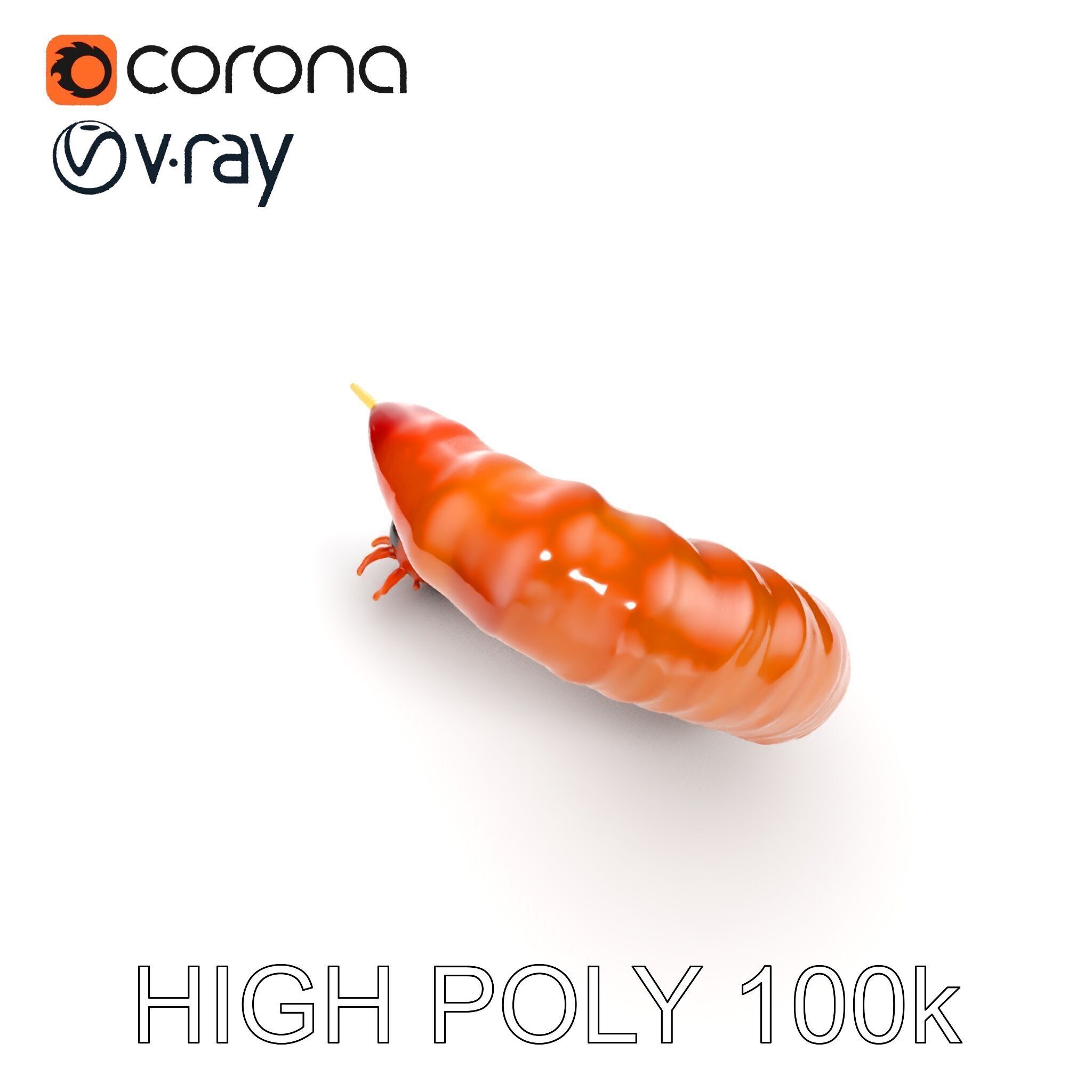Realistic Centipede Model Pack for D Applications Low-poly 3D model_20