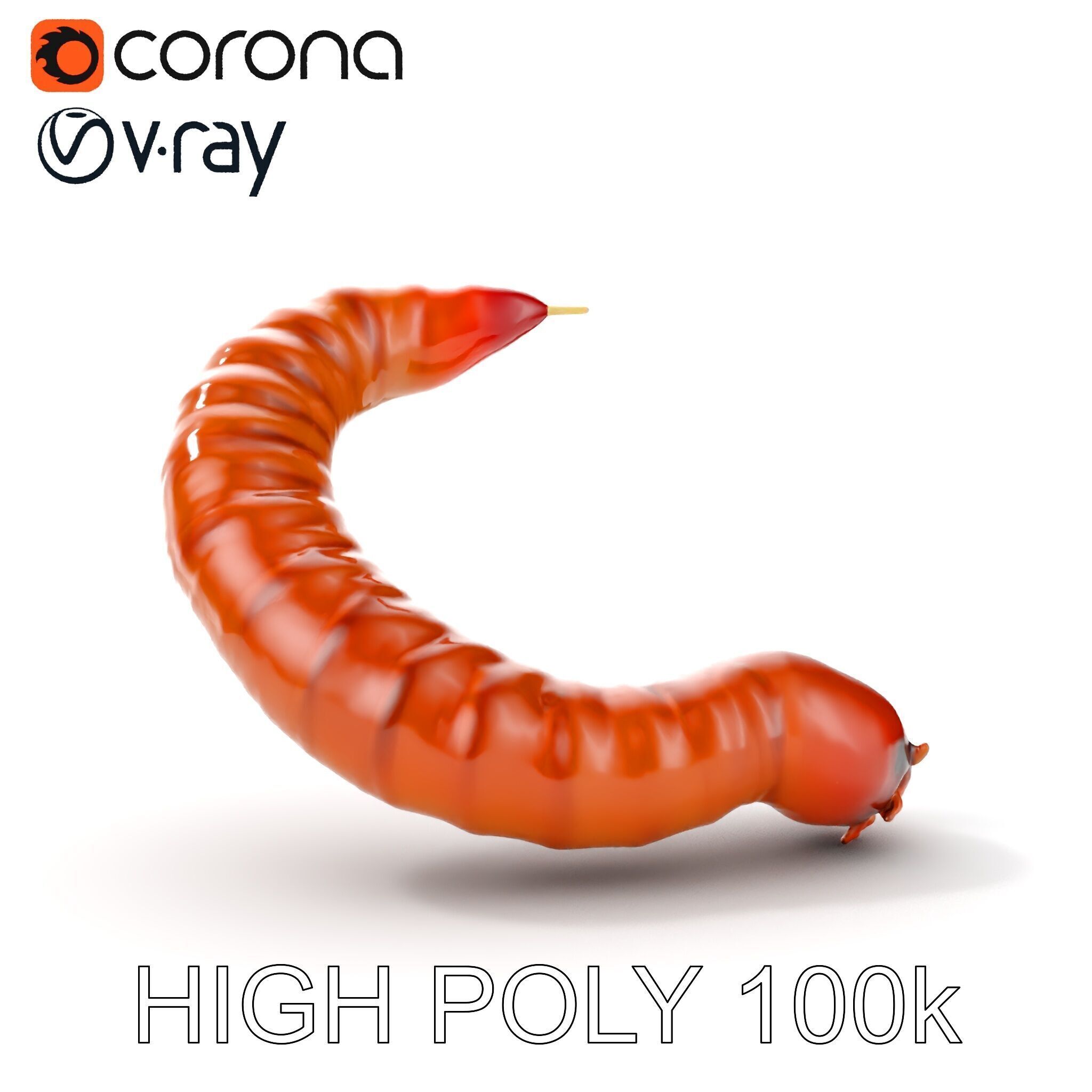 Realistic Centipede Model Pack for D Applications Low-poly 3D model_22