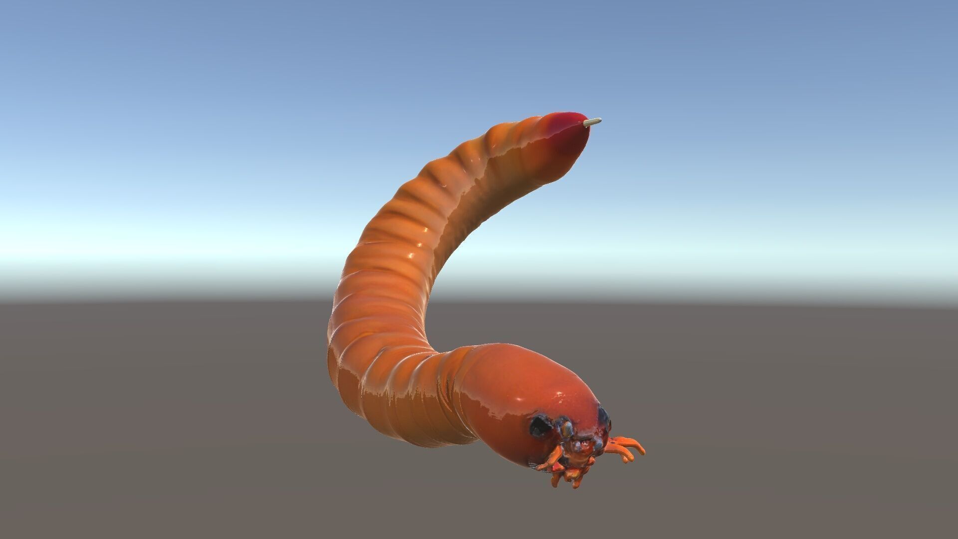 Realistic Centipede Model Pack for D Applications Low-poly 3D model_5