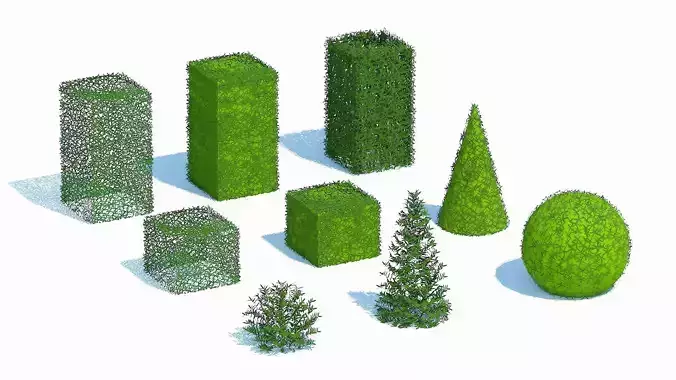 Taxus Media Multiple Size and Shape Low-poly 3D model